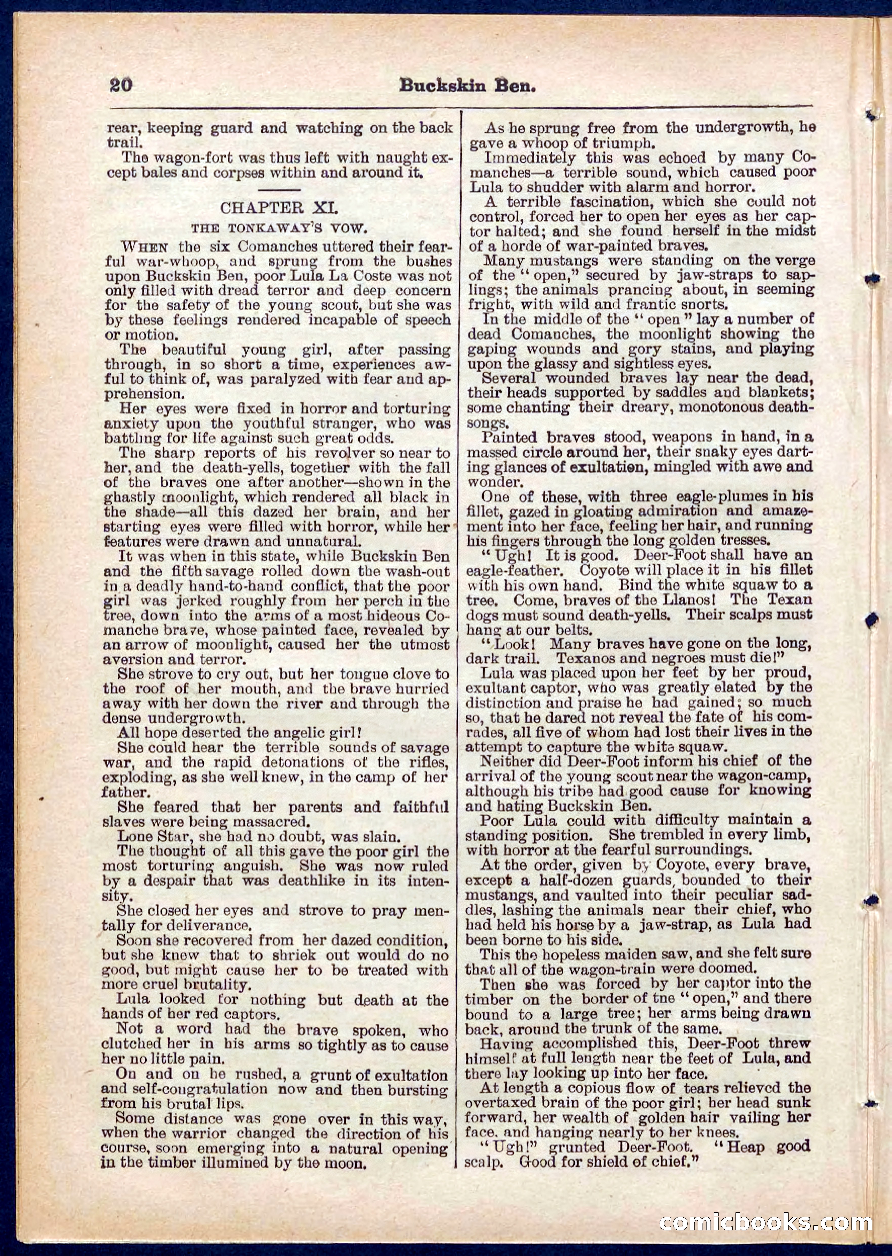 Beadle's Pocket Library No. 317 — page 20 of 32