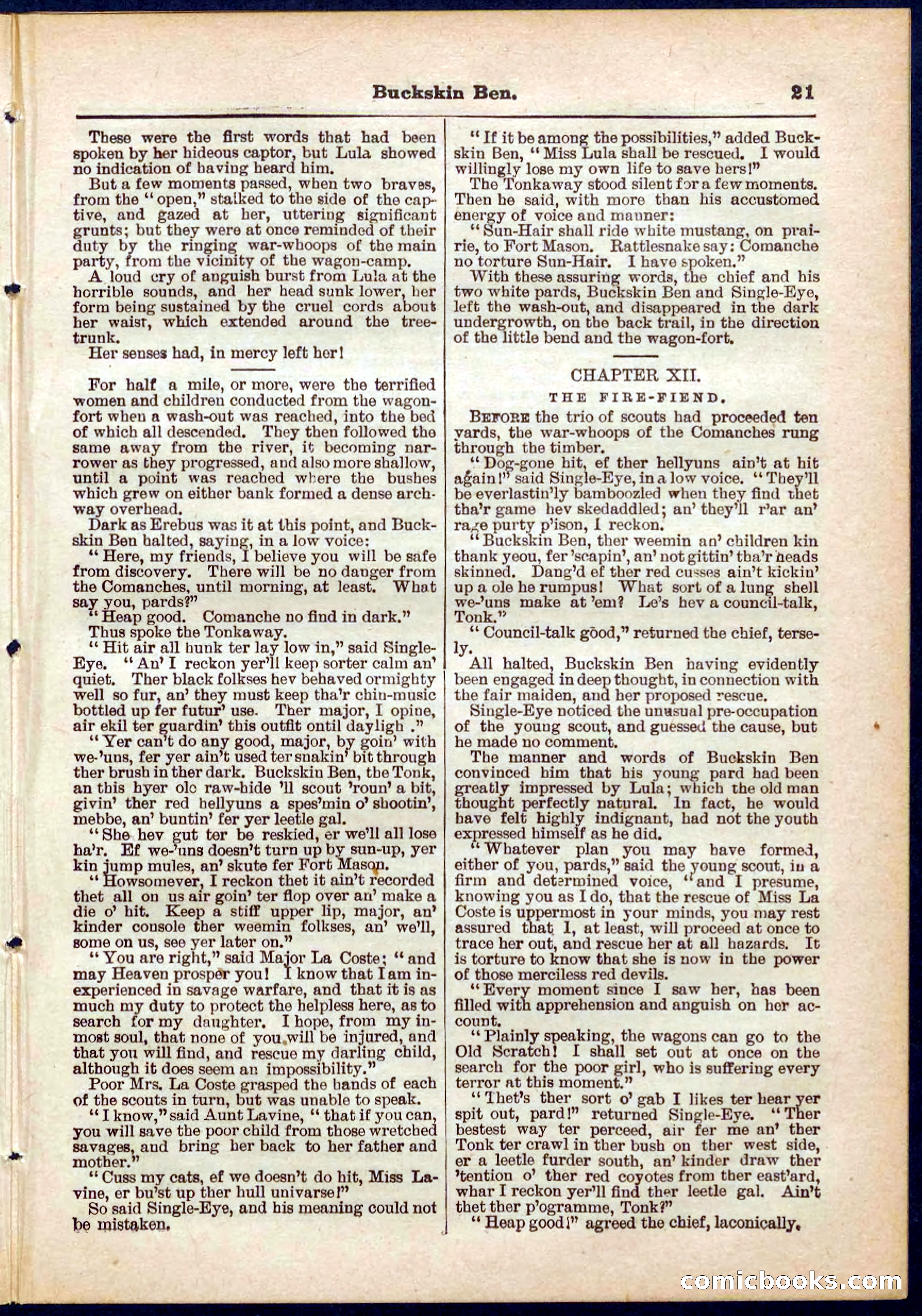 Beadle's Pocket Library No. 317 — page 21 of 32