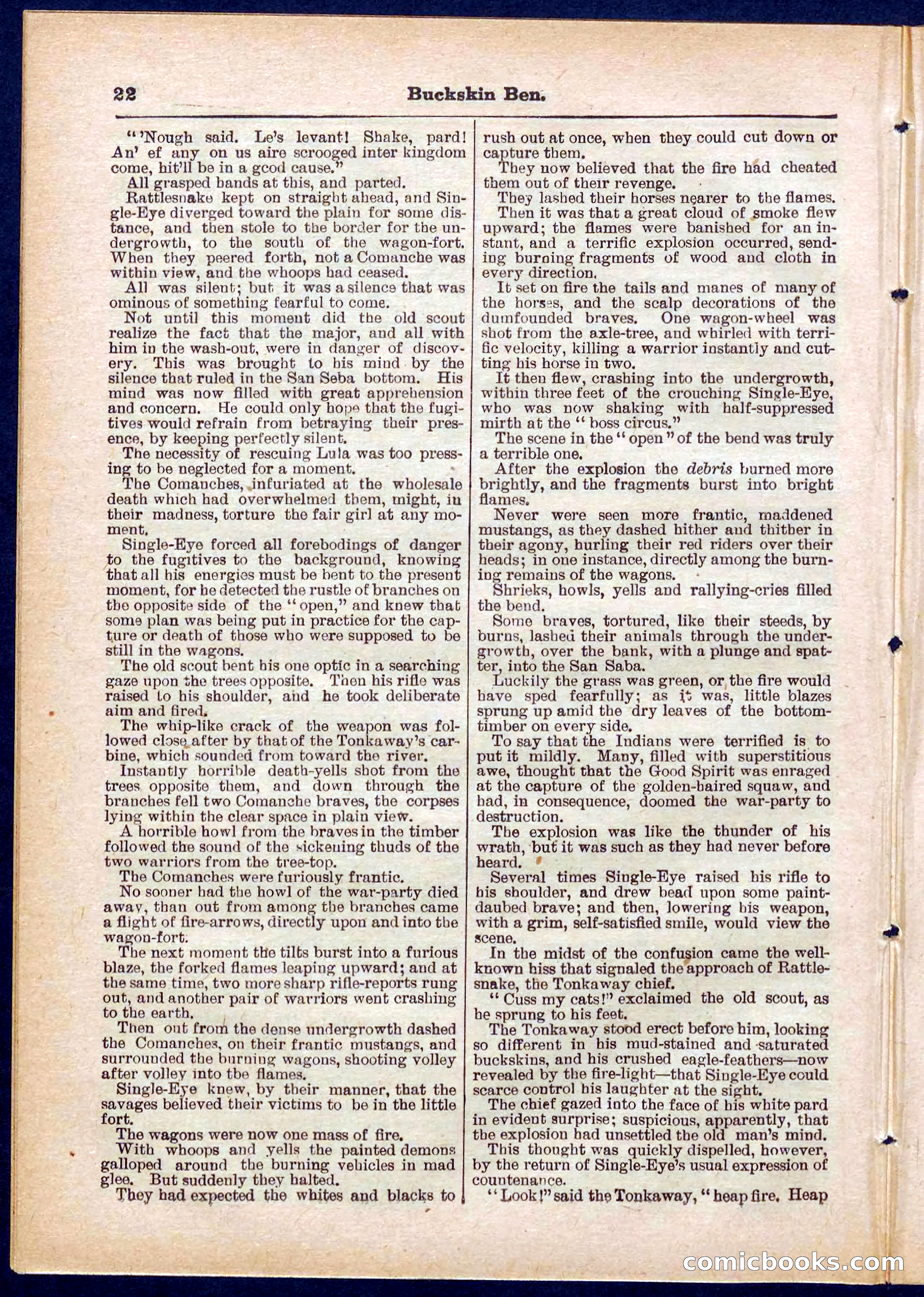 Beadle's Pocket Library No. 317 — page 22 of 32