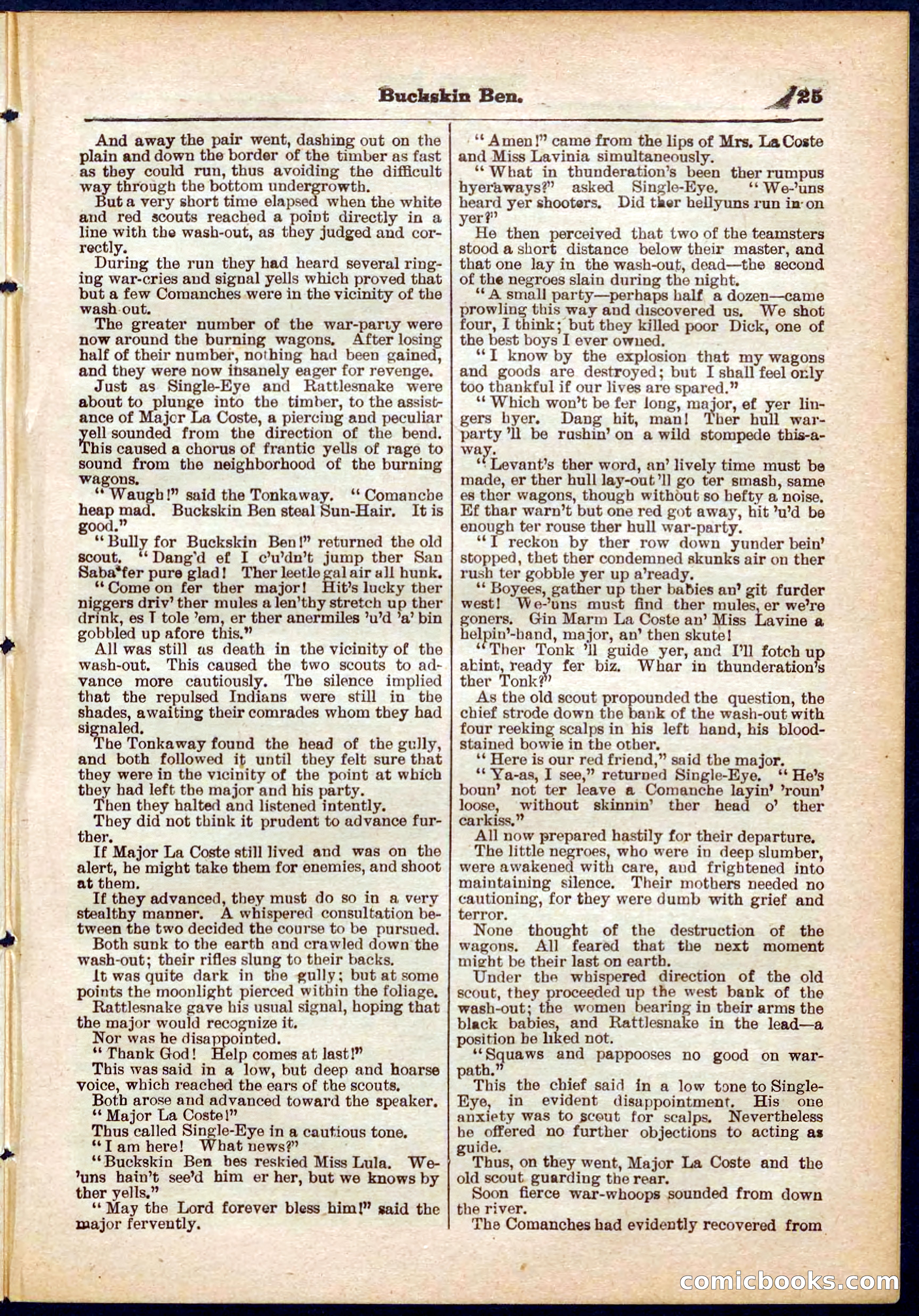 Beadle's Pocket Library No. 317 — page 25 of 32