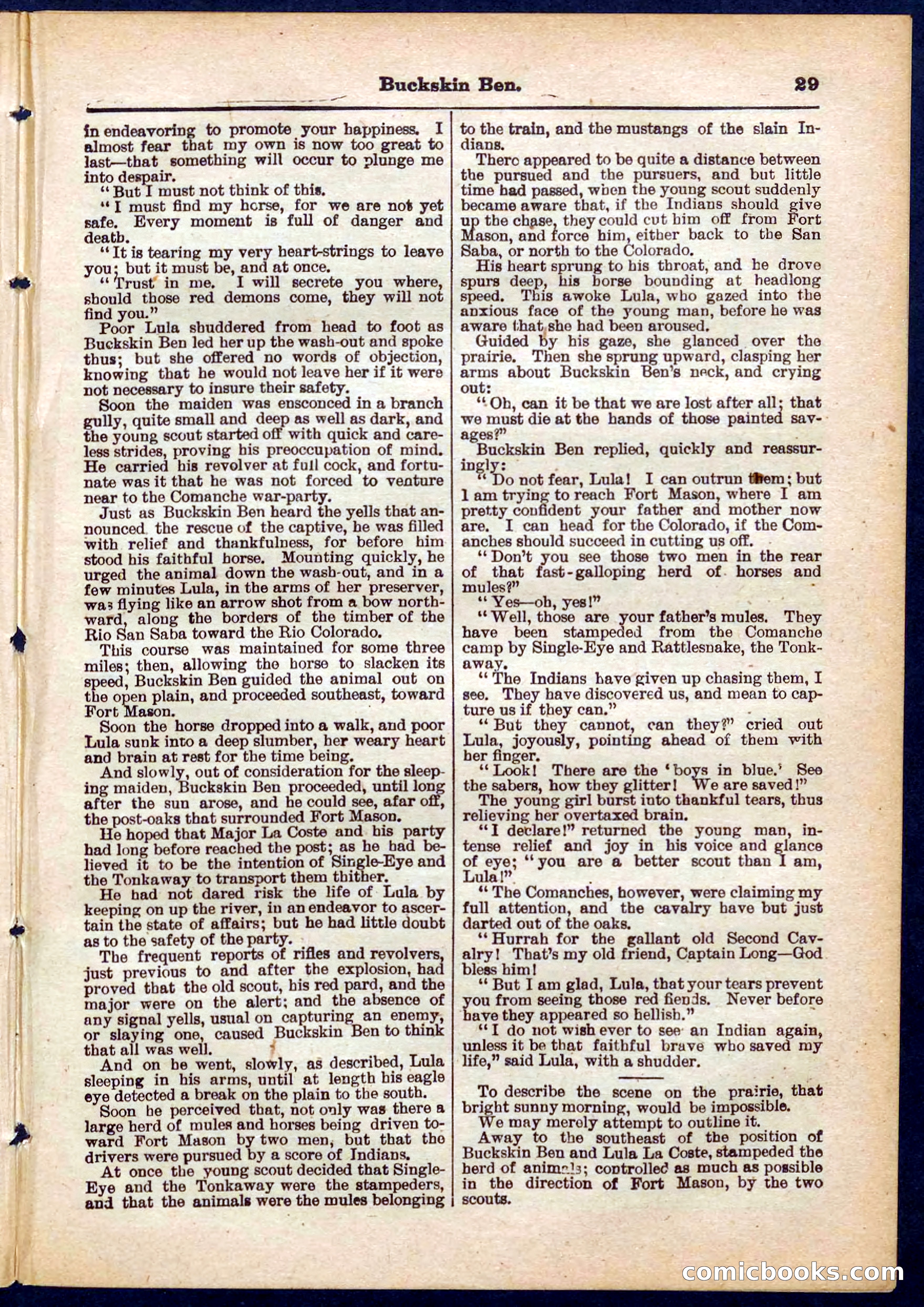 Beadle's Pocket Library No. 317 — page 29 of 32