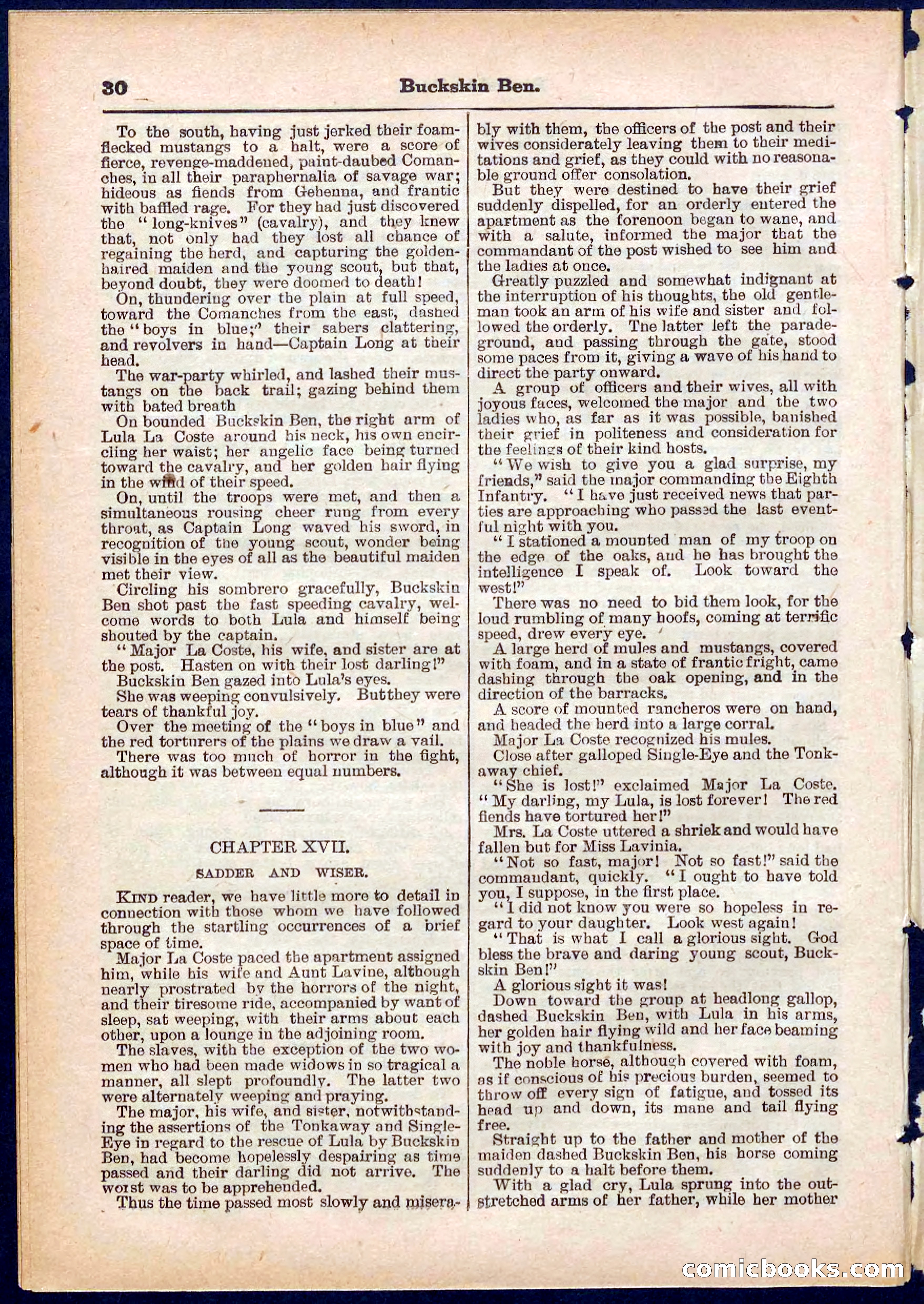 Beadle's Pocket Library No. 317 — page 30 of 32