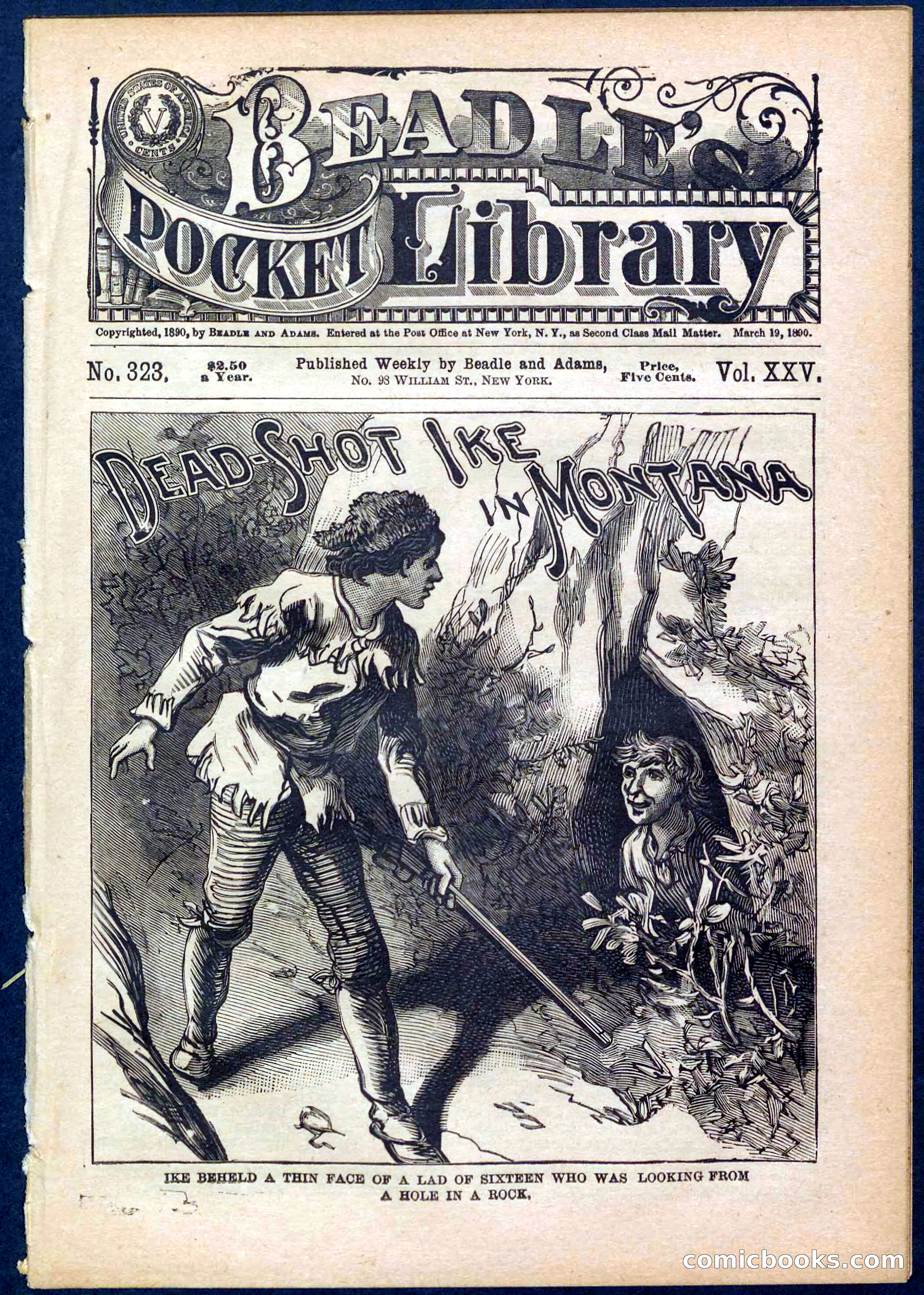 Beadle's Pocket Library No. 323