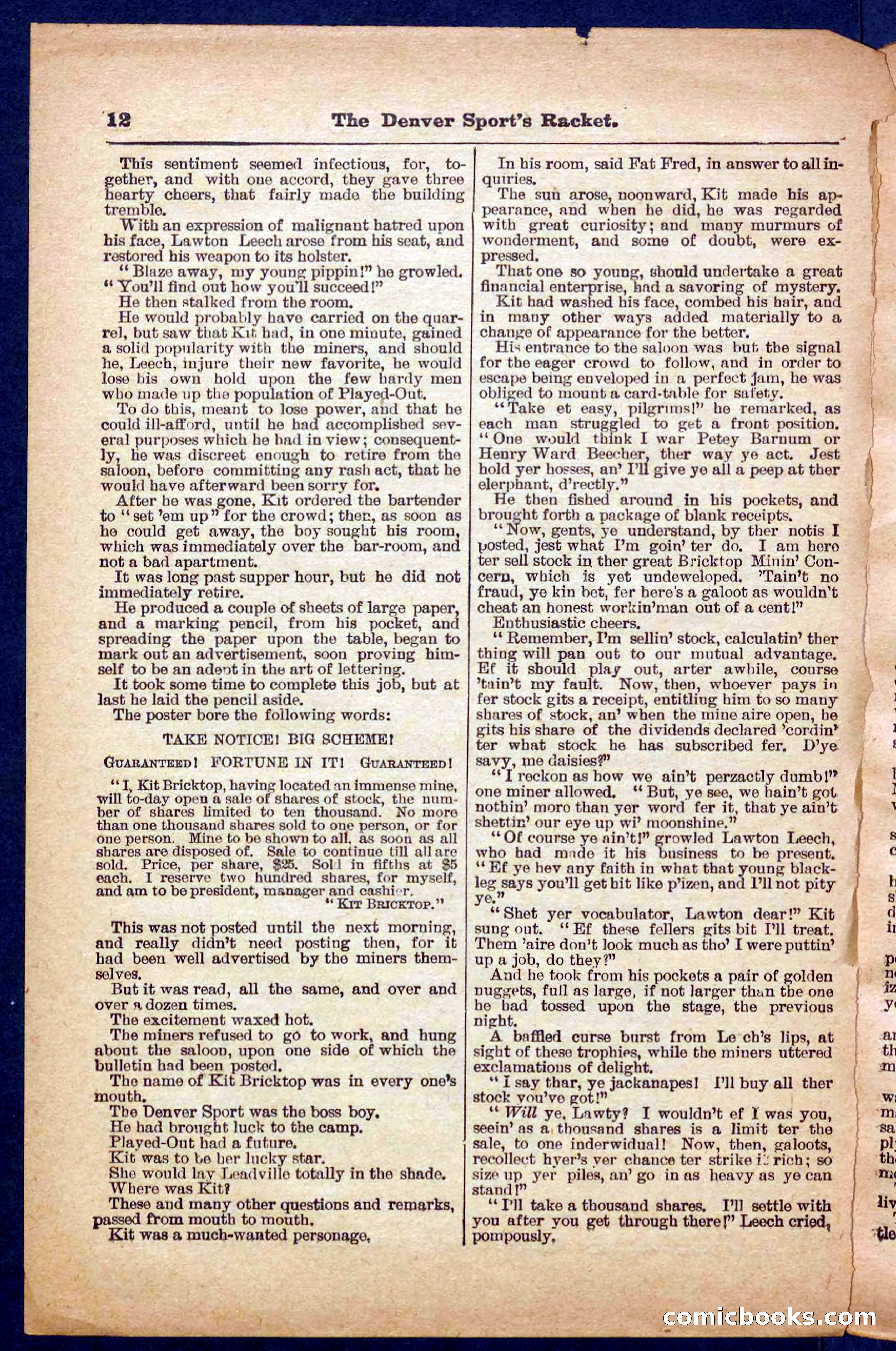 Beadle's Pocket Library No. 330 — page 12 of 32