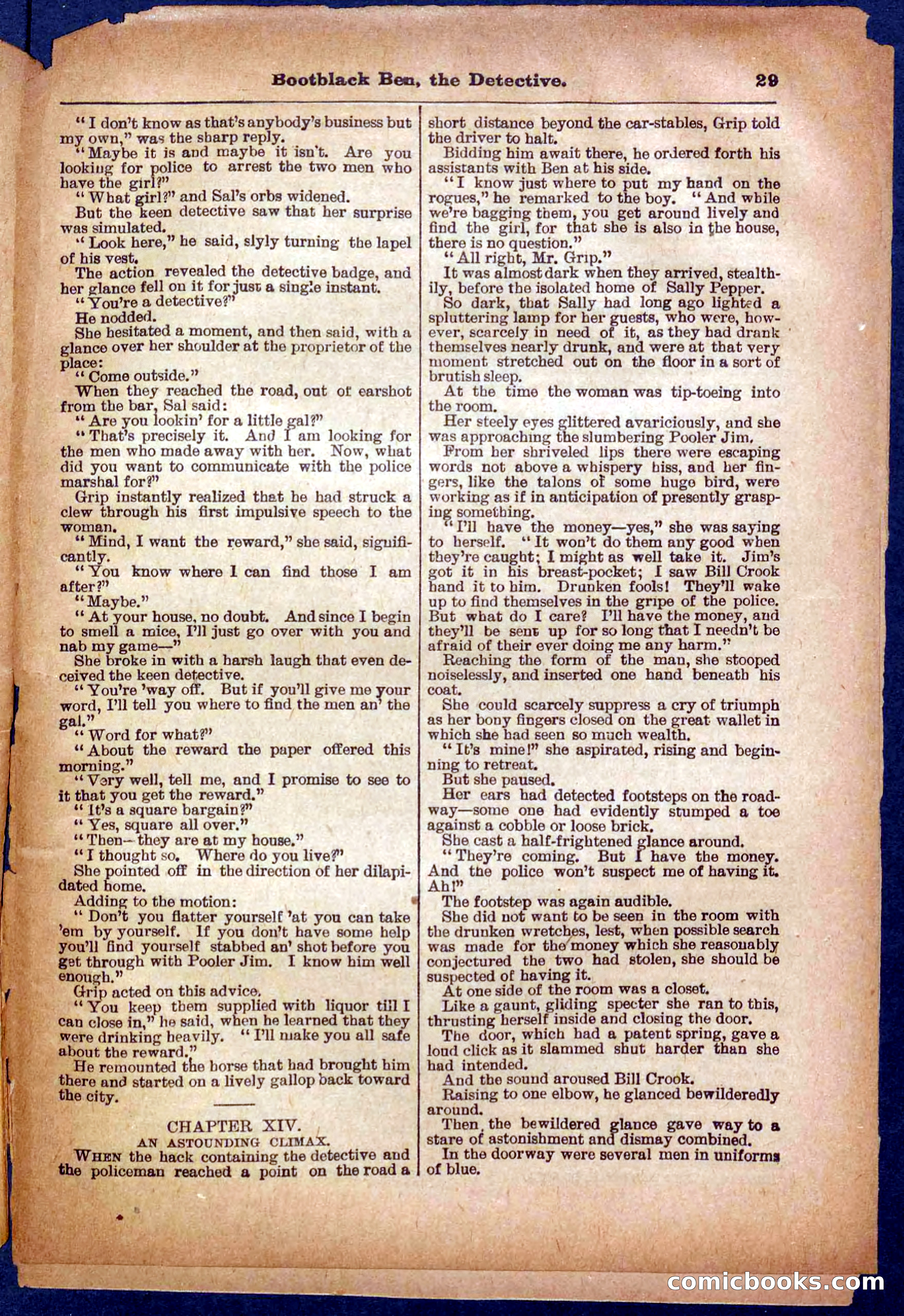 Beadle's Pocket Library No. 333 — page 29 of 32
