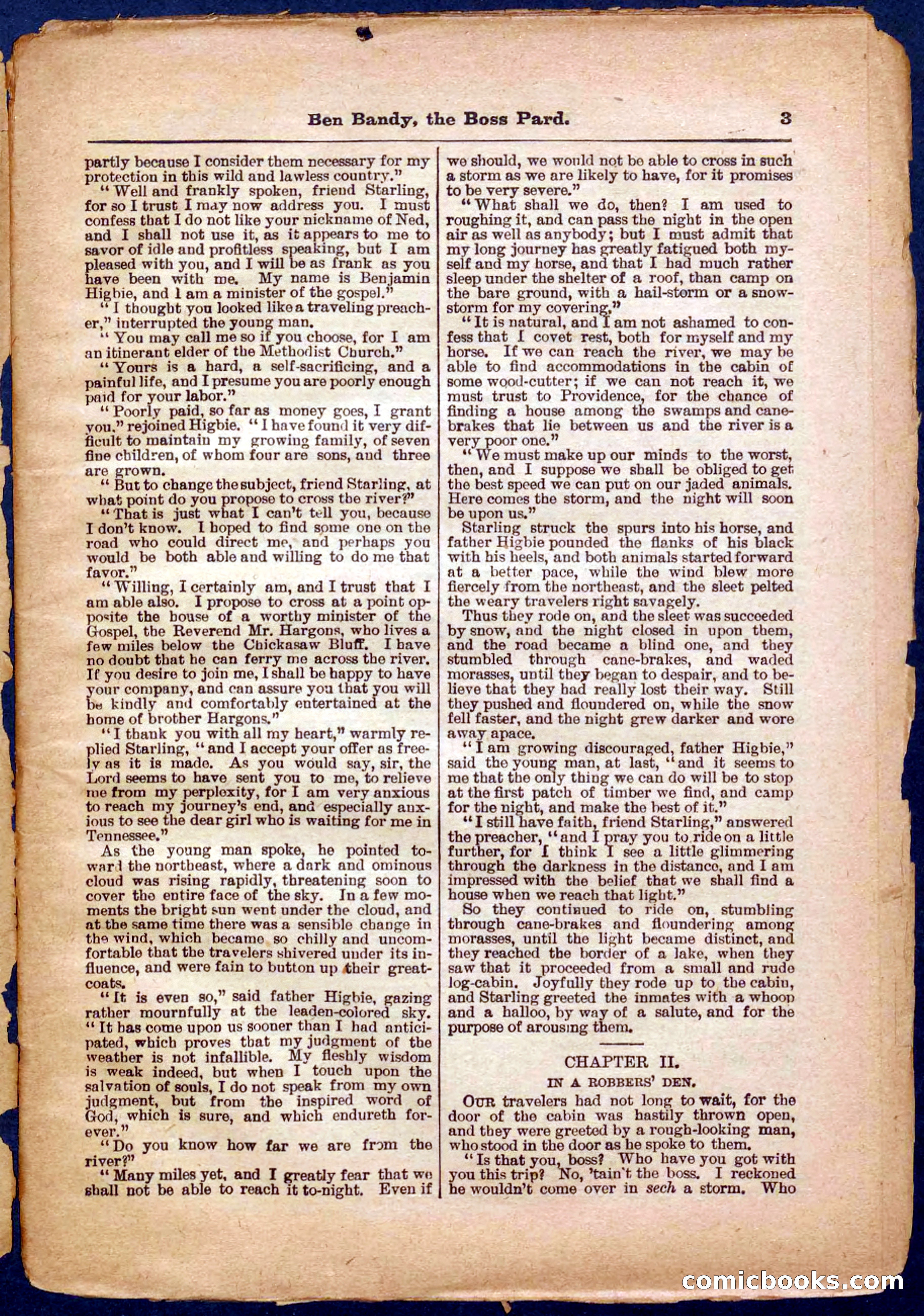 Beadle's Pocket Library No. 335 — page 3 of 32