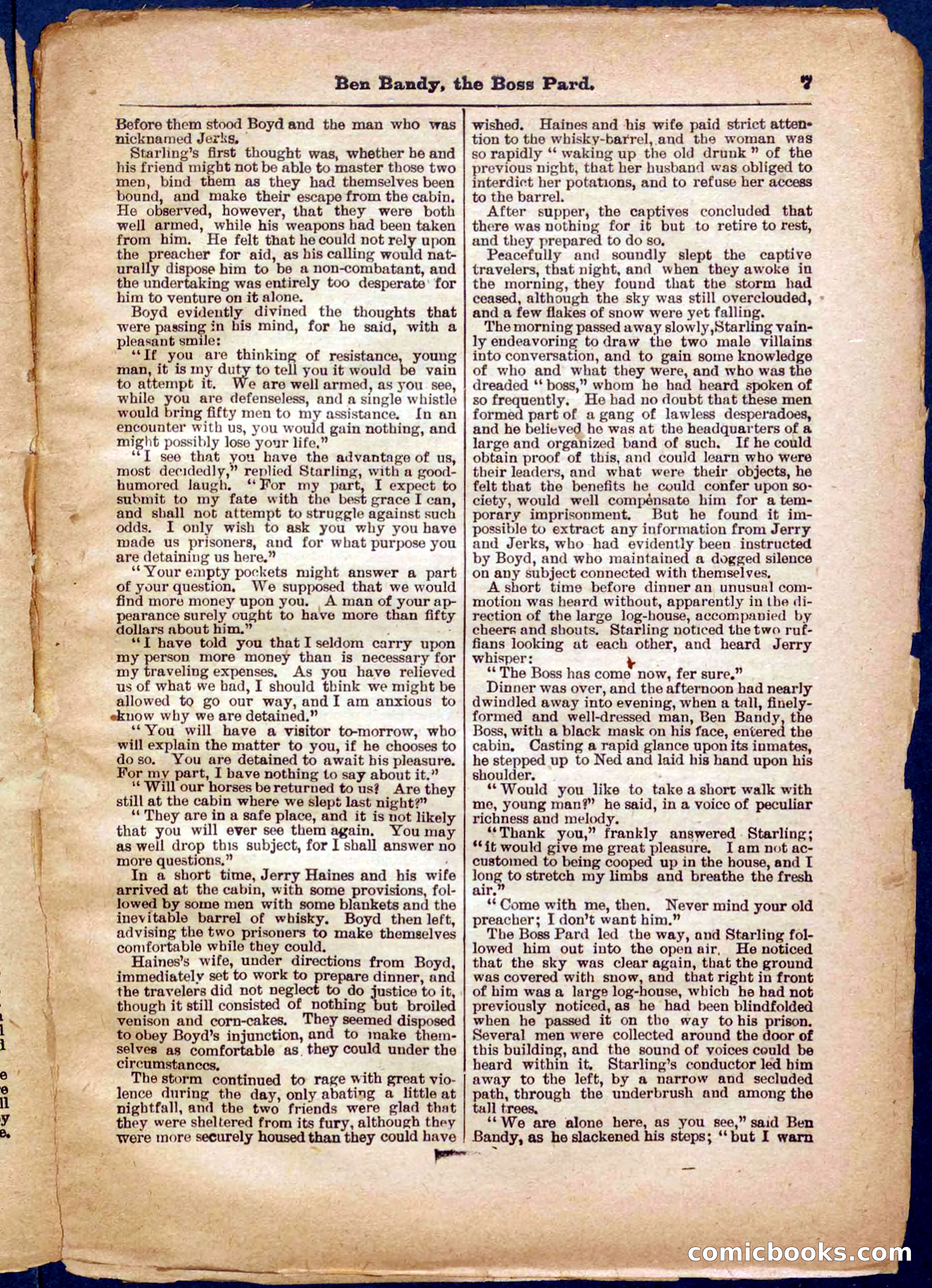 Beadle's Pocket Library No. 335 — page 7 of 32