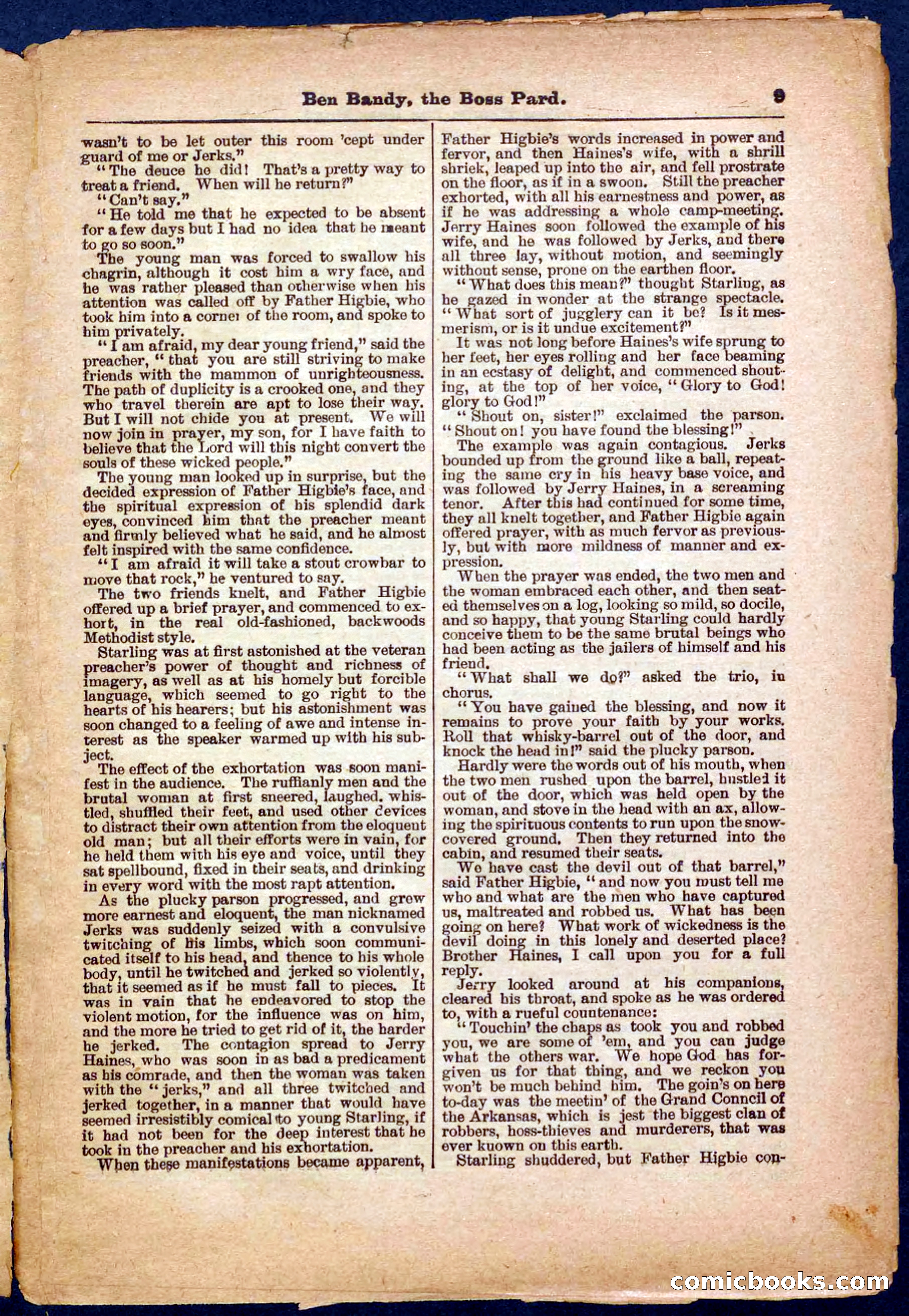 Beadle's Pocket Library No. 335 — page 9 of 32