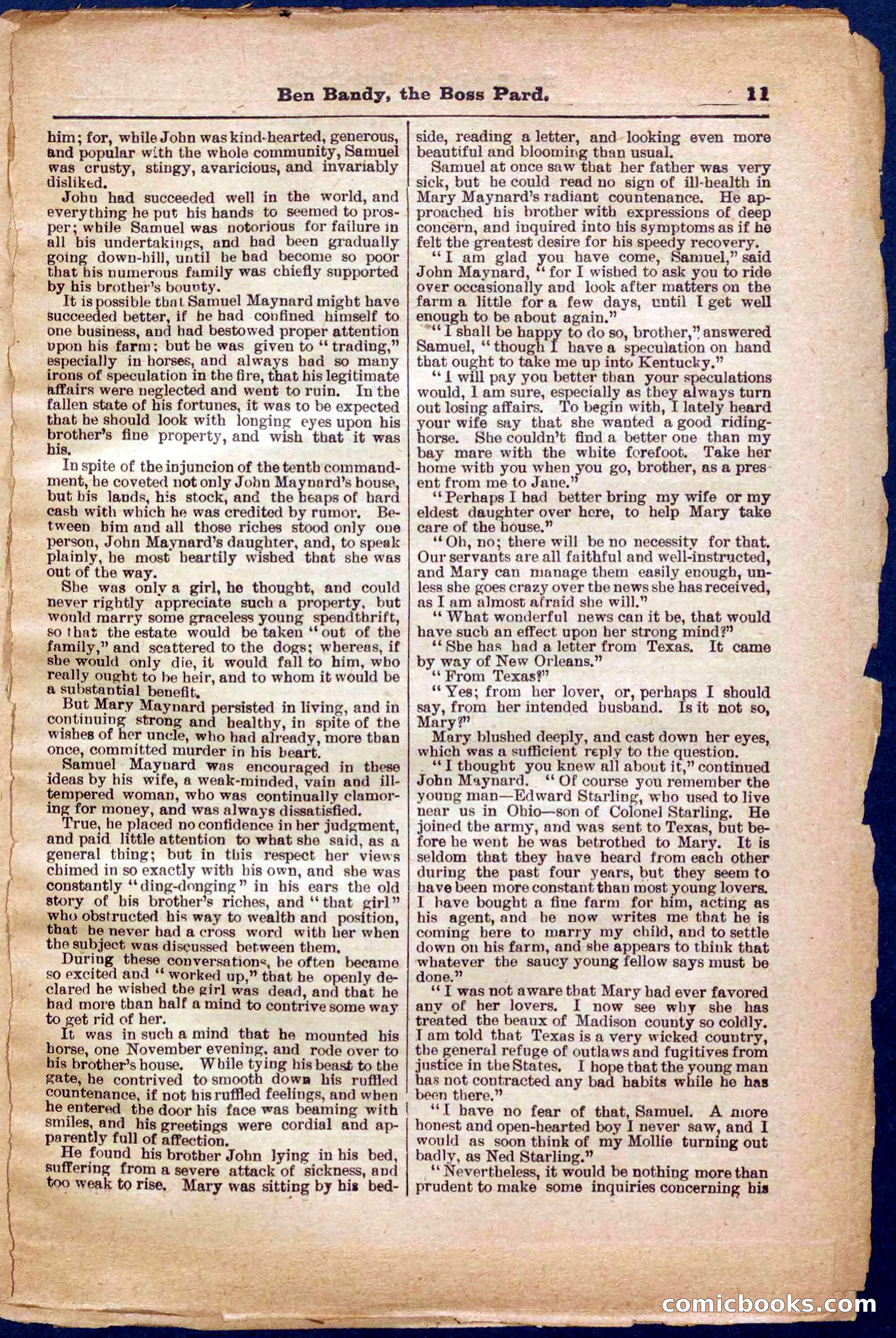 Beadle's Pocket Library No. 335 — page 11 of 32