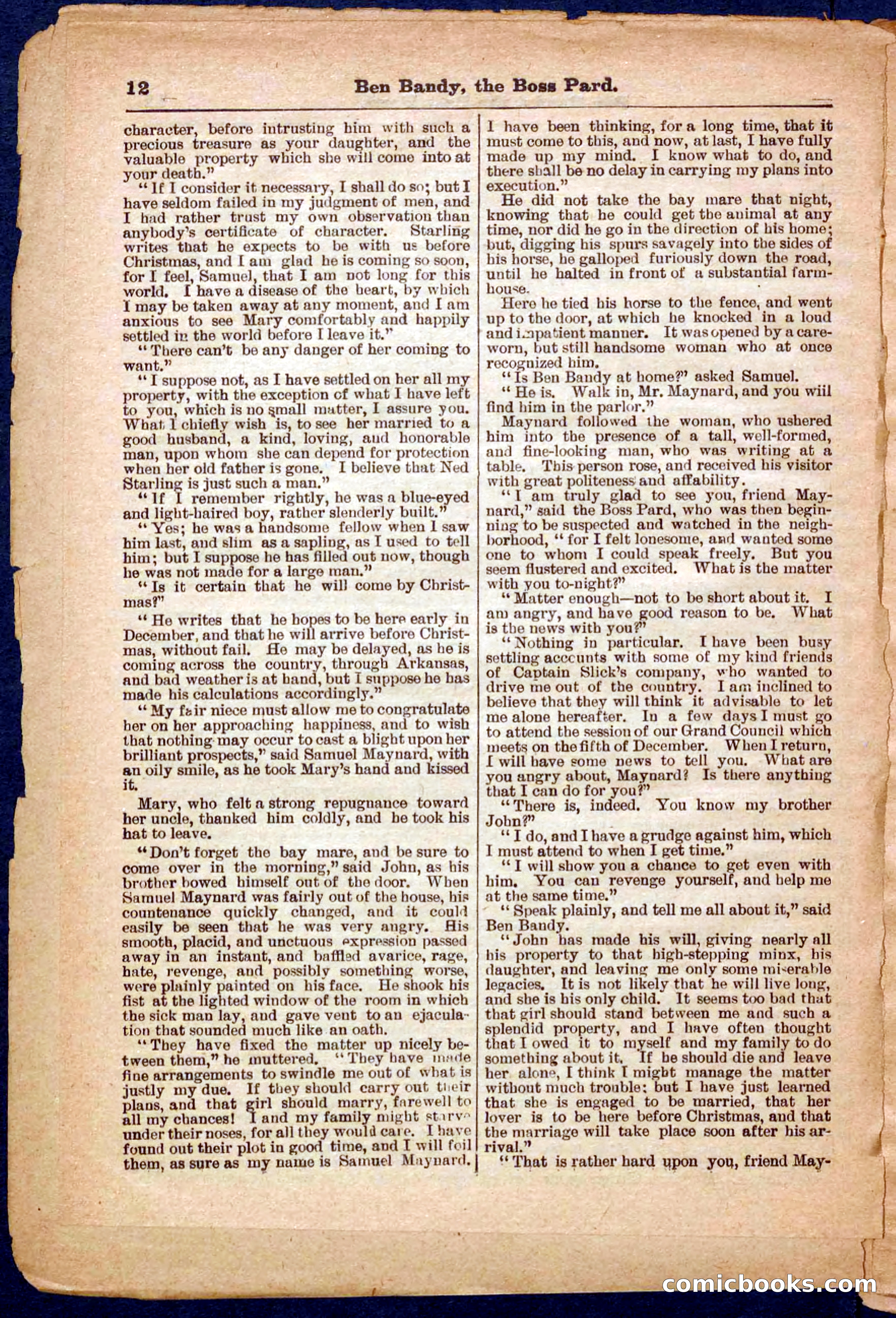 Beadle's Pocket Library No. 335 — page 12 of 32