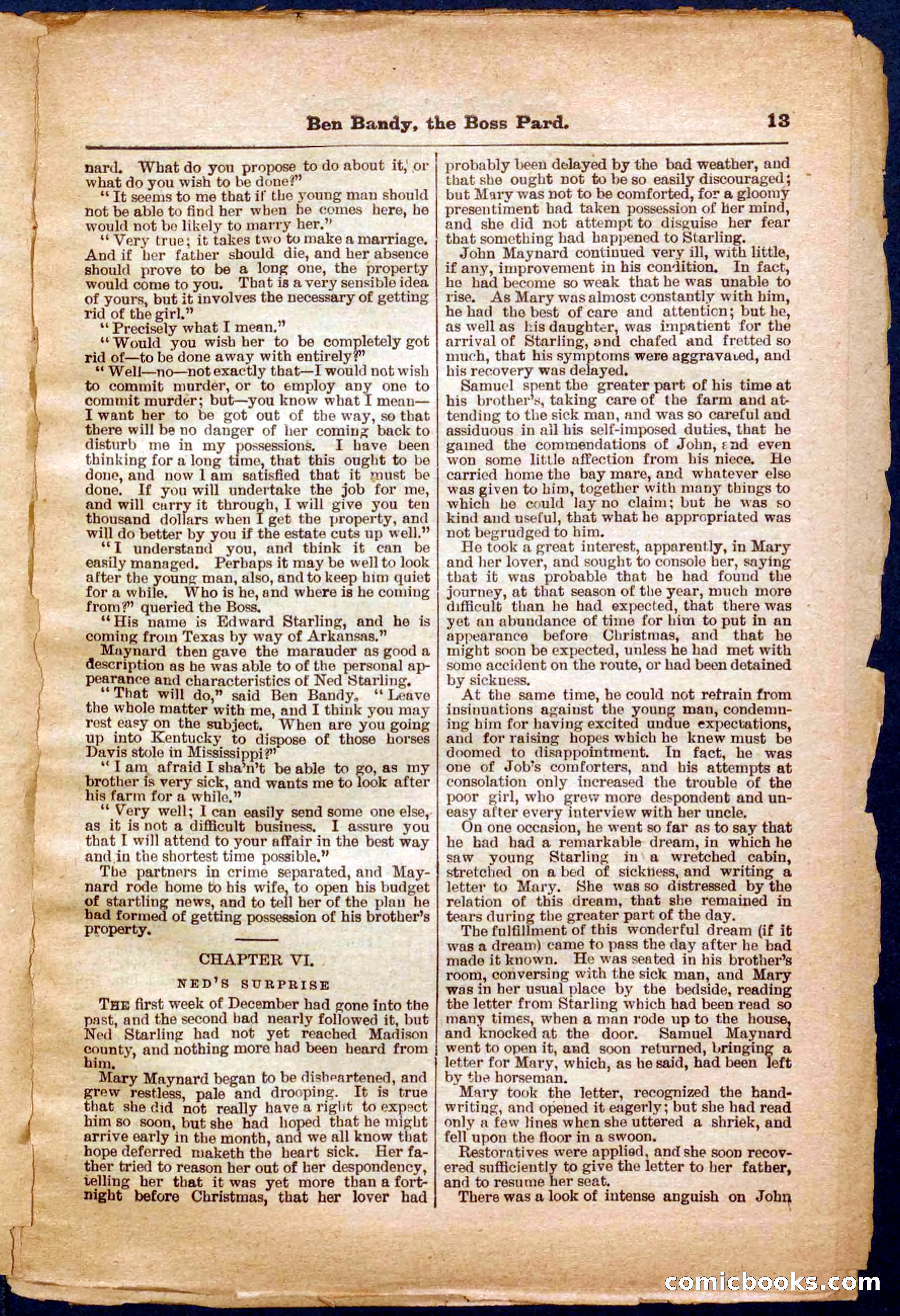 Beadle's Pocket Library No. 335 — page 13 of 32