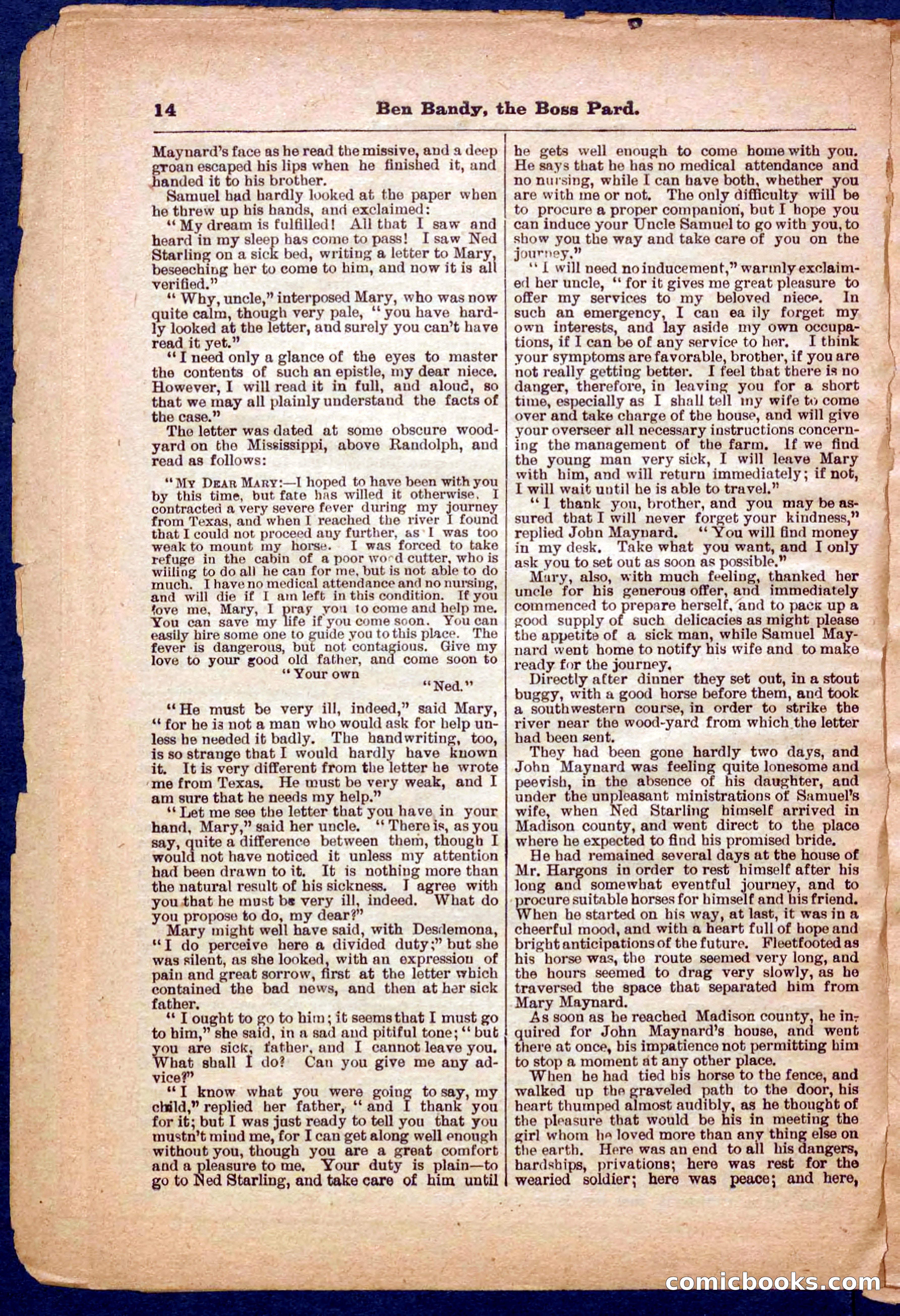 Beadle's Pocket Library No. 335 — page 14 of 32
