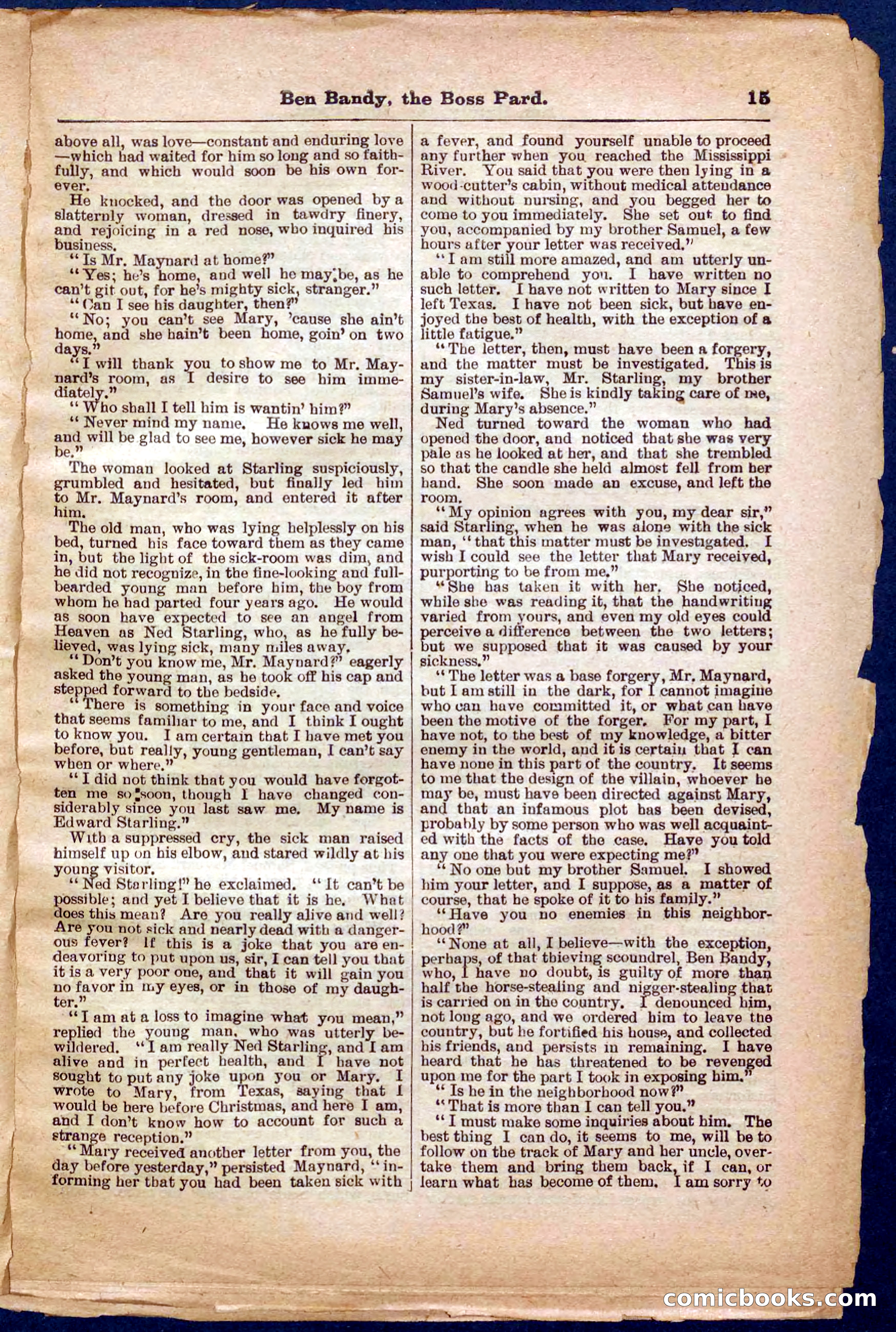 Beadle's Pocket Library No. 335 — page 15 of 32
