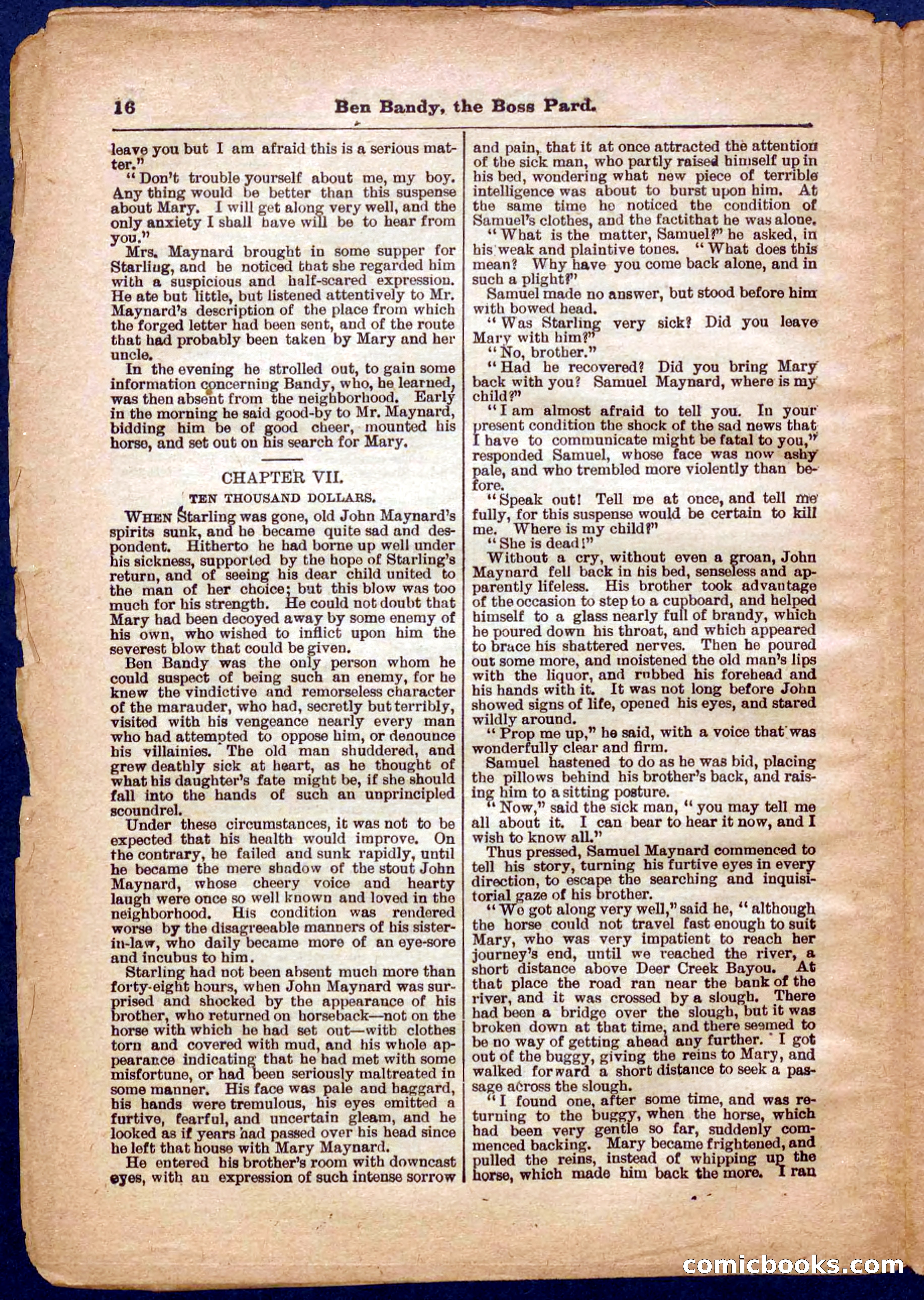 Beadle's Pocket Library No. 335 — page 16 of 32
