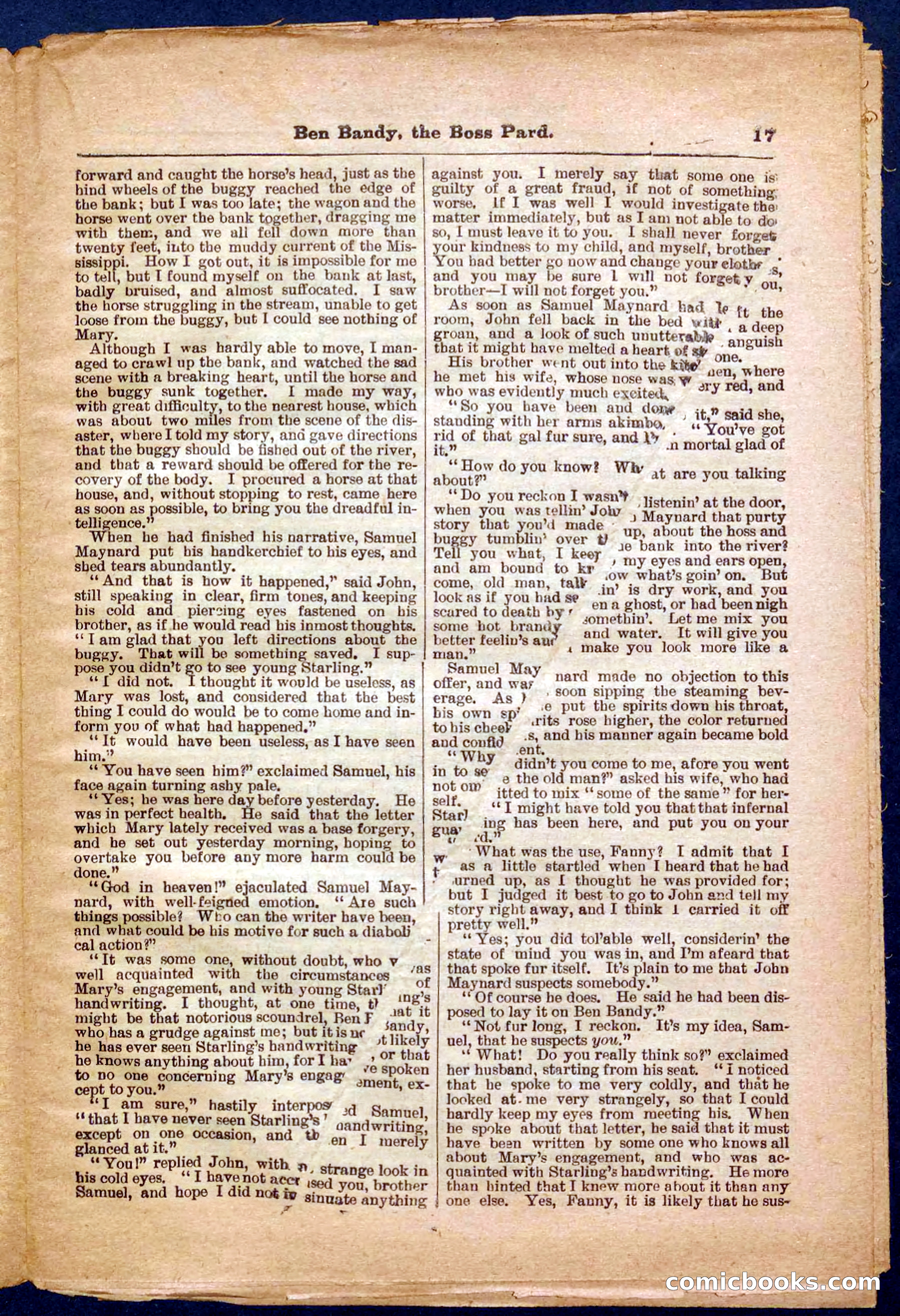 Beadle's Pocket Library No. 335 — page 17 of 32