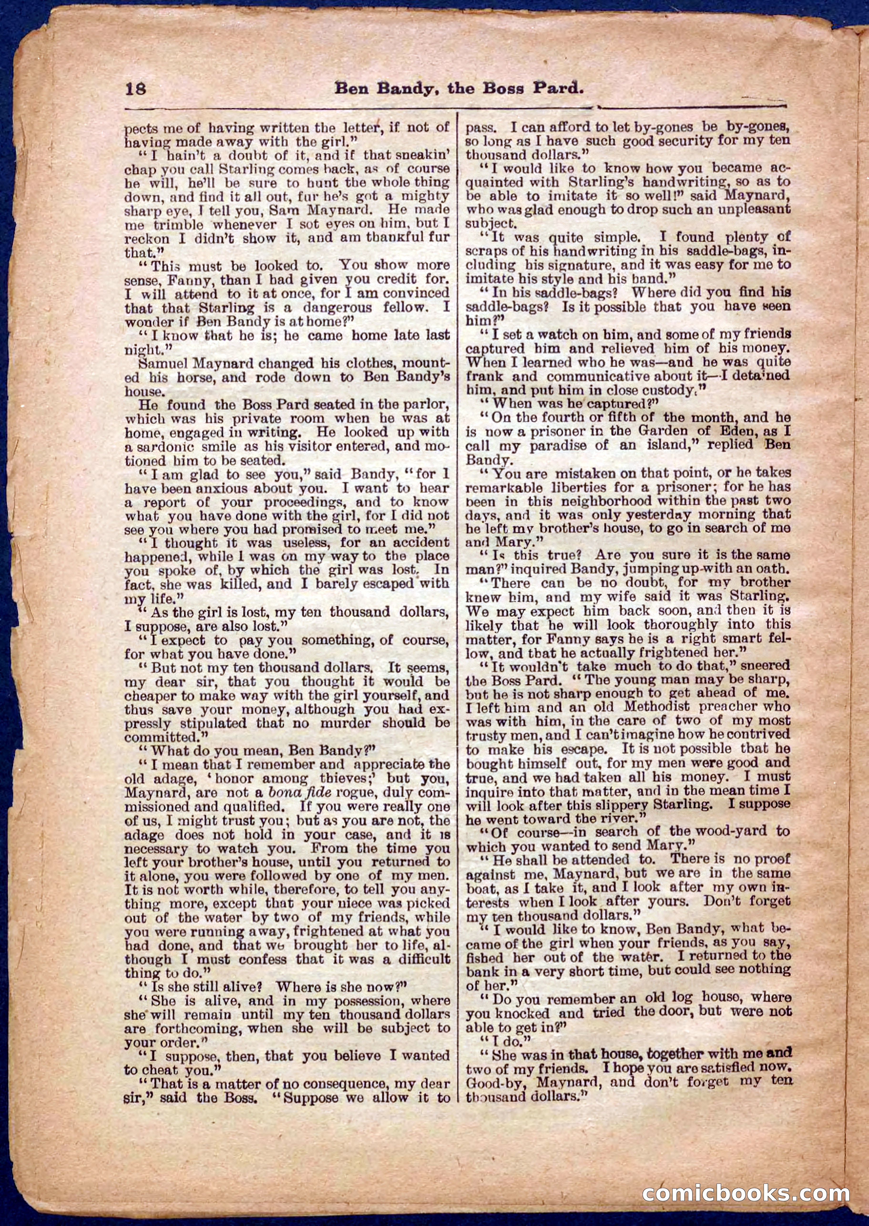 Beadle's Pocket Library No. 335 — page 18 of 32