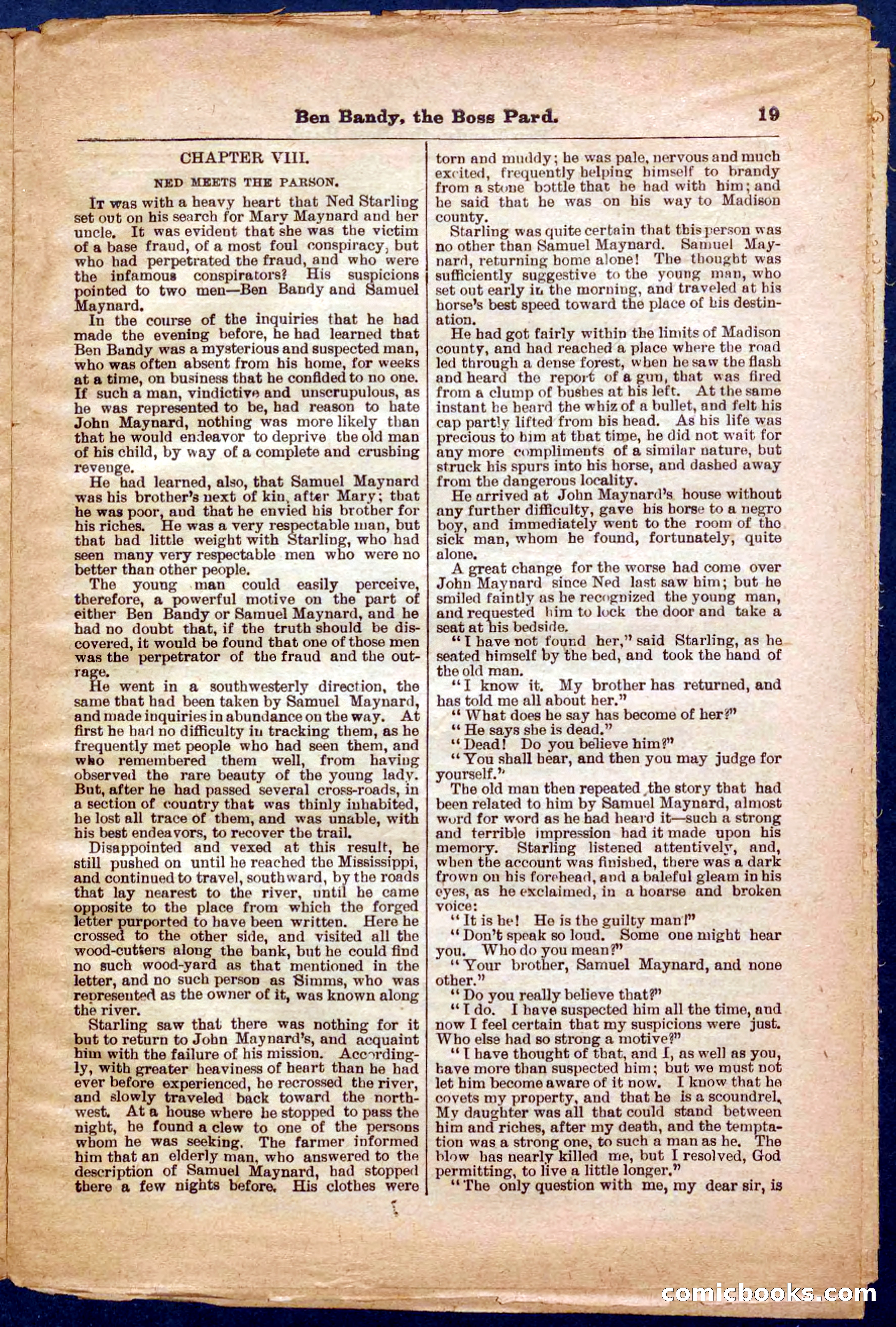 Beadle's Pocket Library No. 335 — page 19 of 32