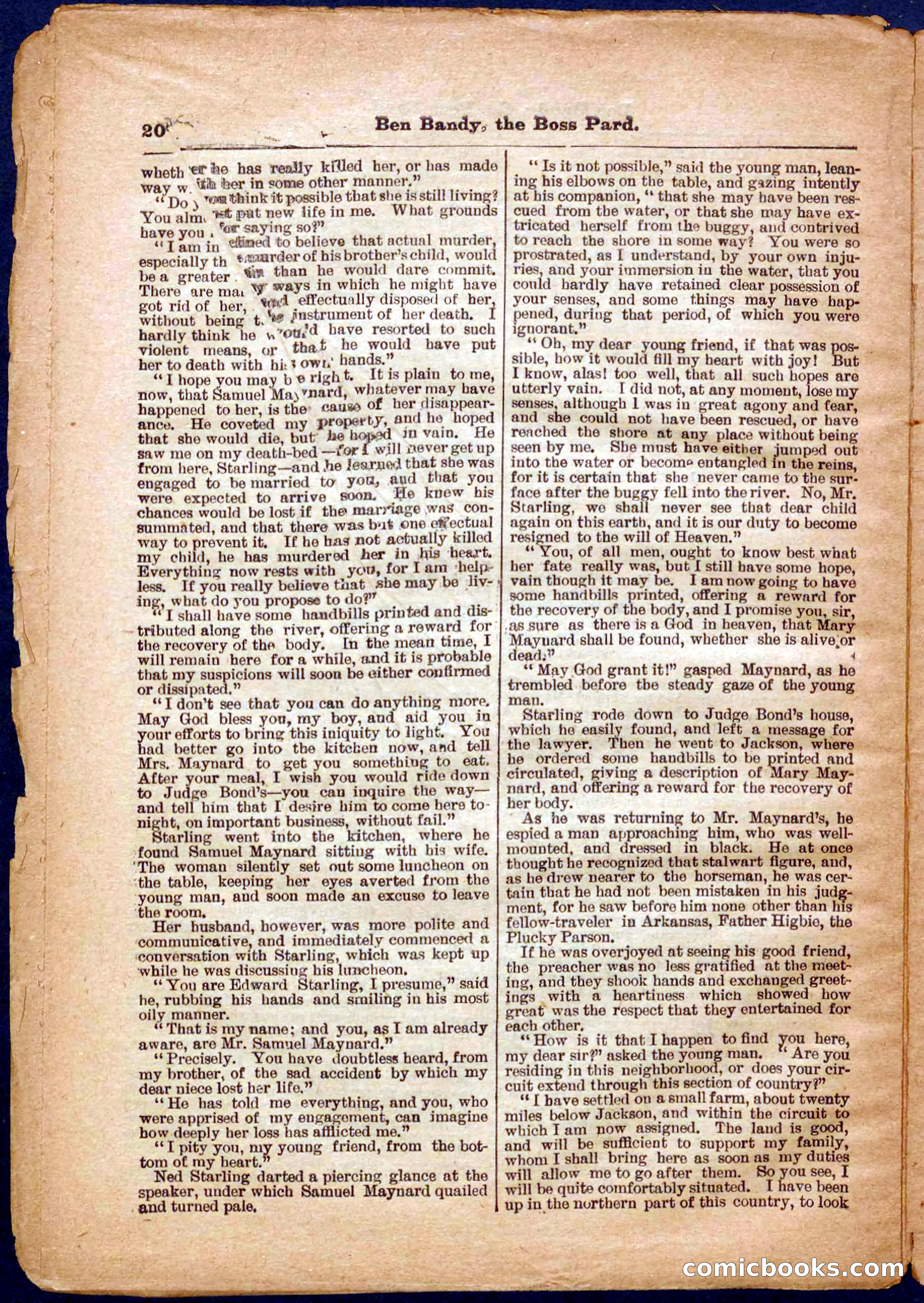 Beadle's Pocket Library No. 335 — page 20 of 32