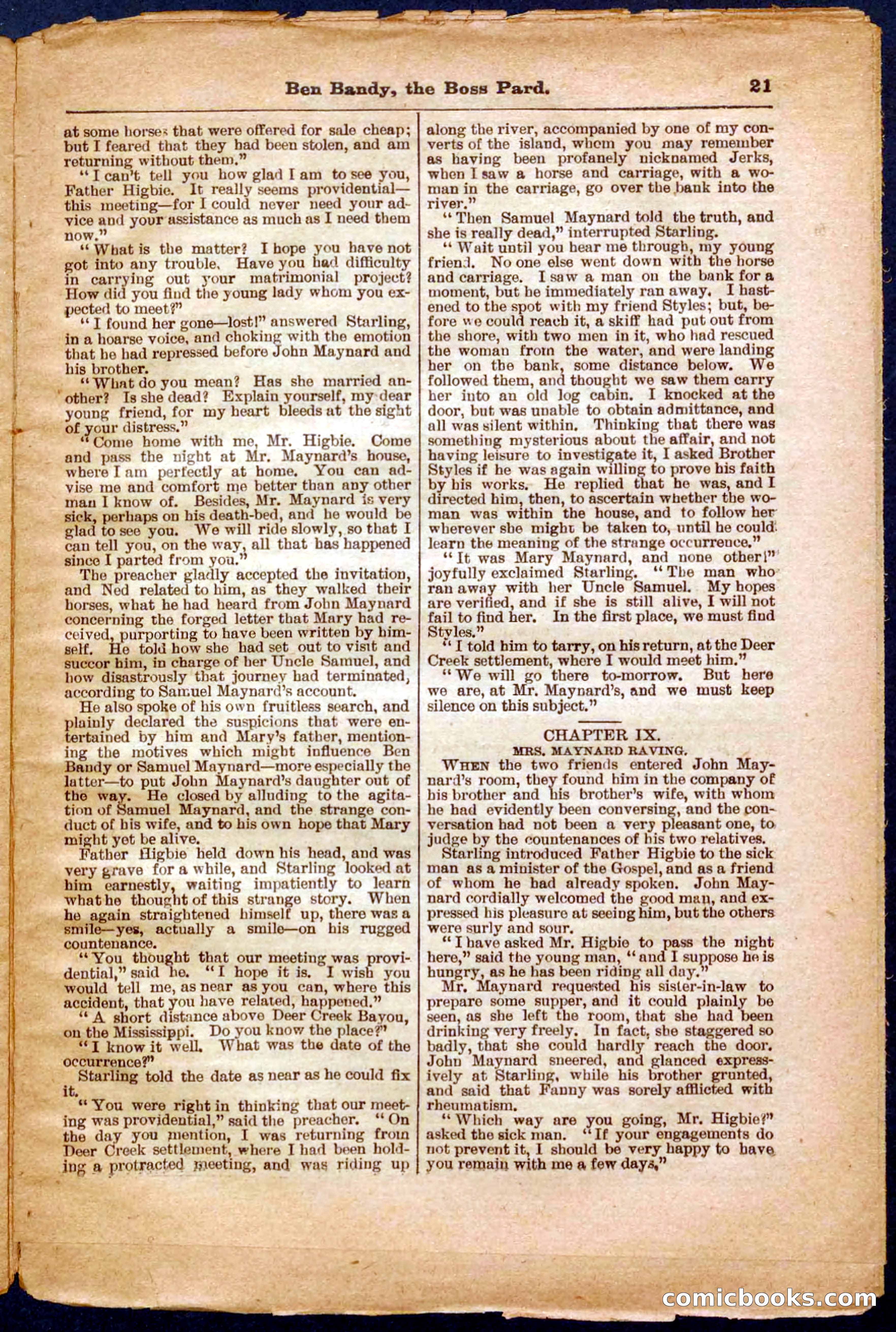 Beadle's Pocket Library No. 335 — page 21 of 32