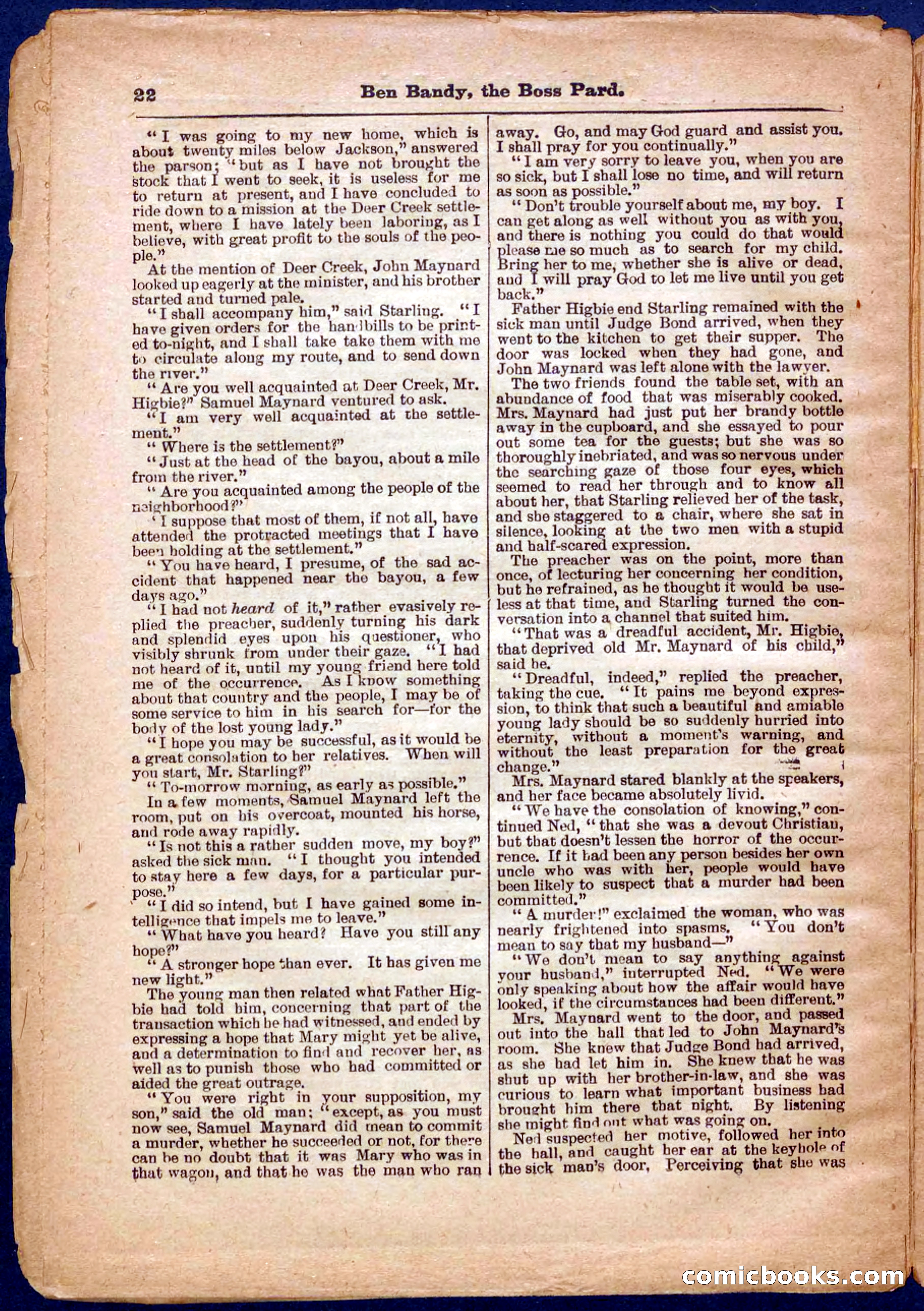 Beadle's Pocket Library No. 335 — page 22 of 32