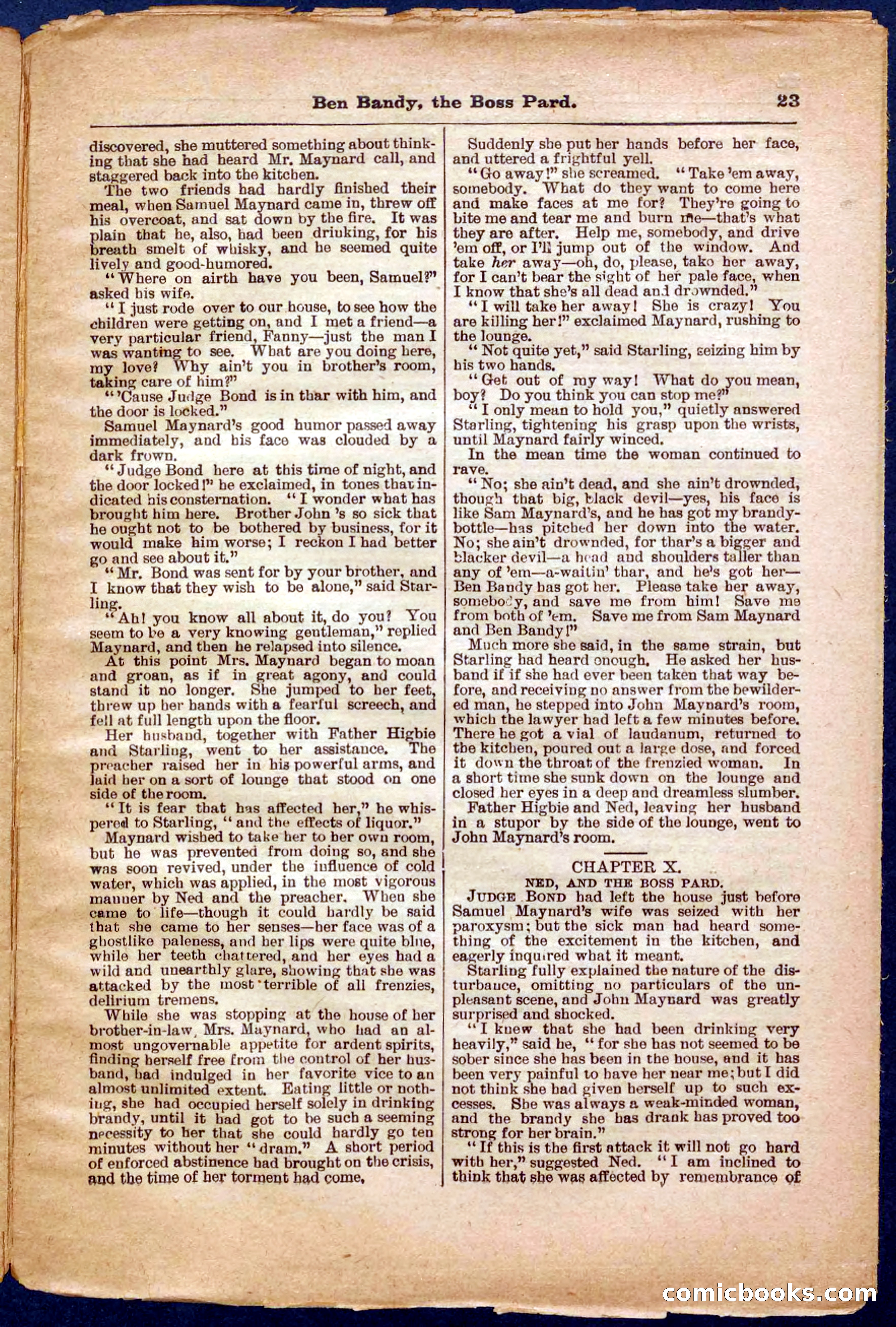 Beadle's Pocket Library No. 335 — page 23 of 32
