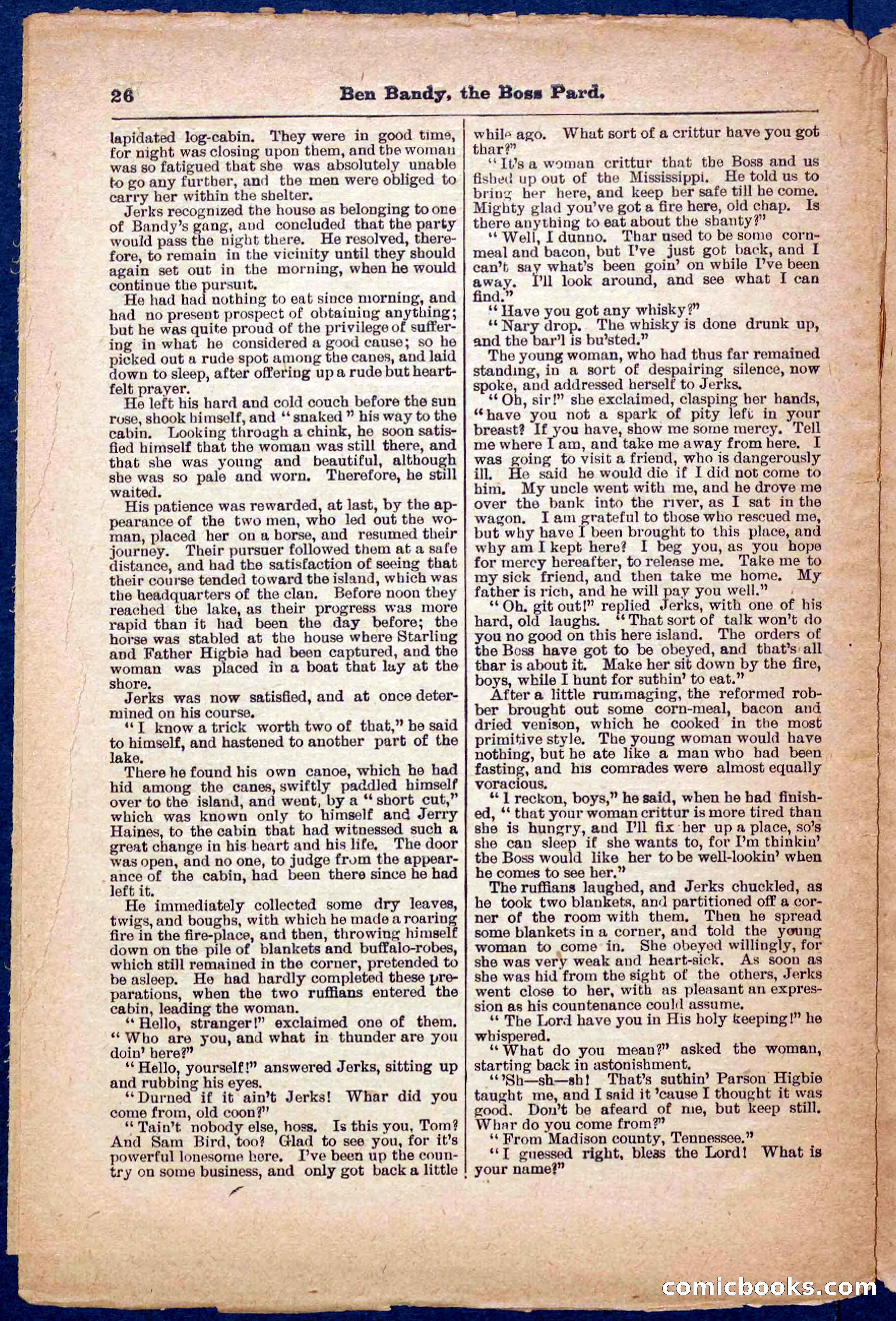 Beadle's Pocket Library No. 335 — page 26 of 32