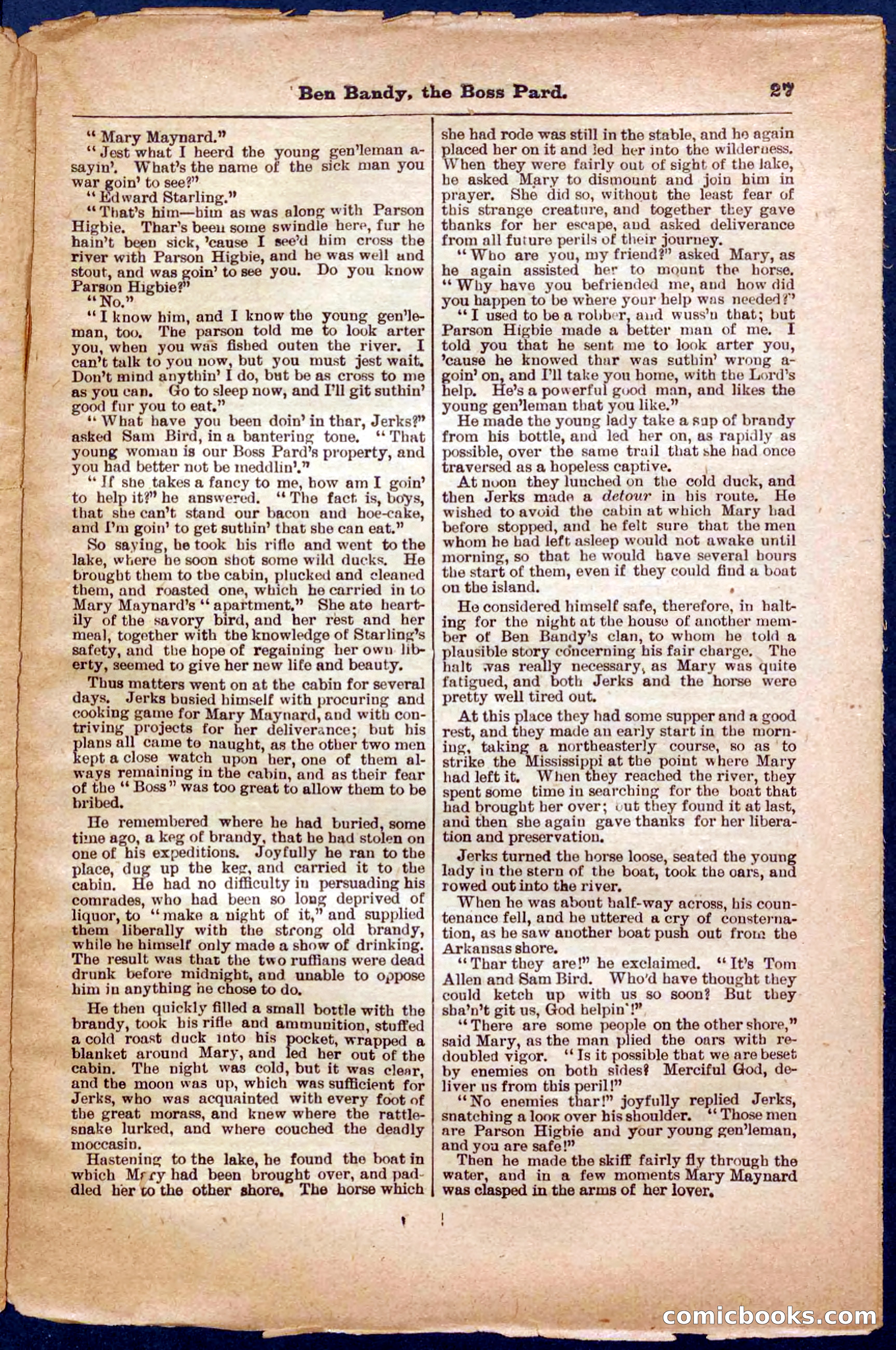 Beadle's Pocket Library No. 335 — page 27 of 32