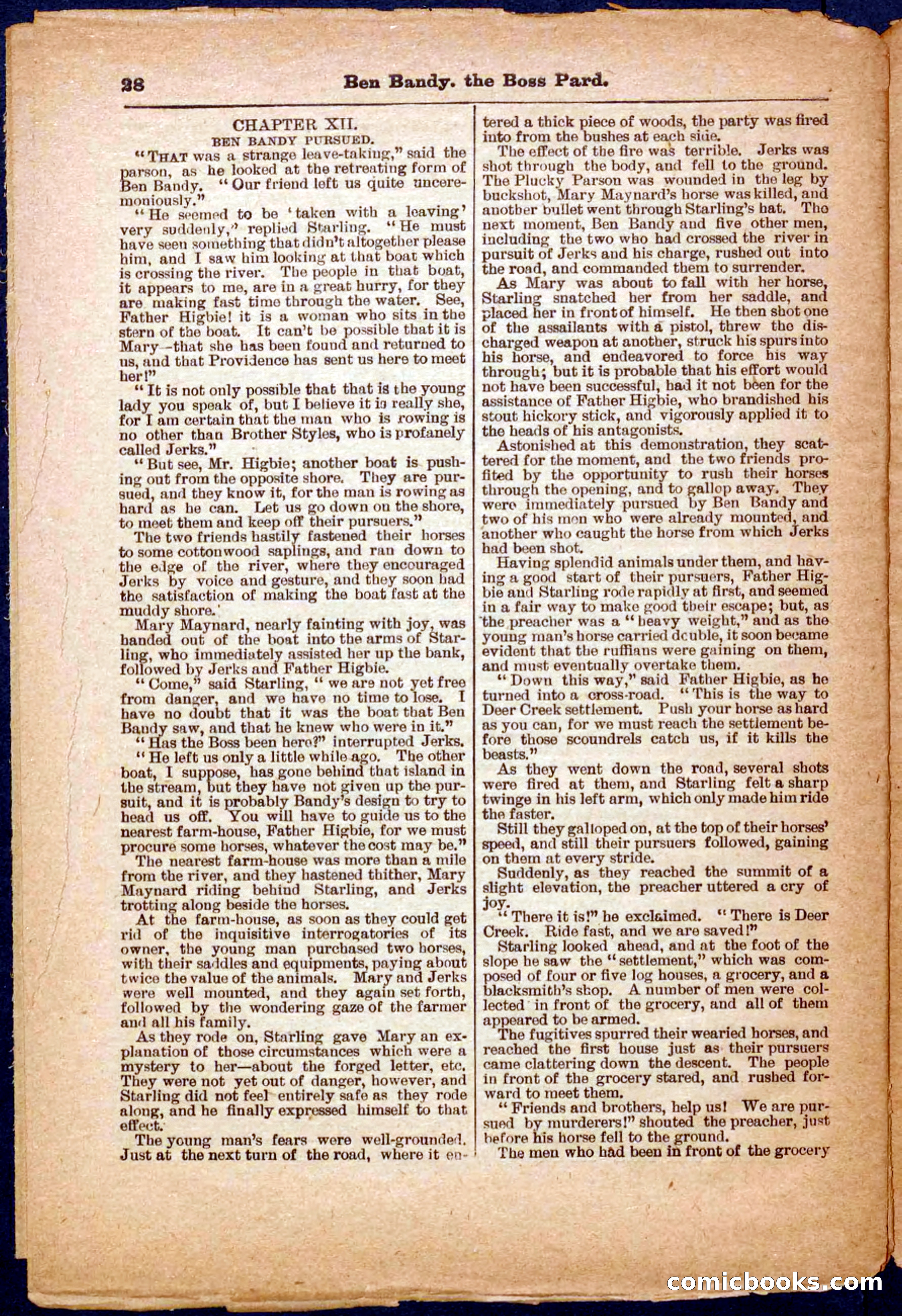 Beadle's Pocket Library No. 335 — page 28 of 32