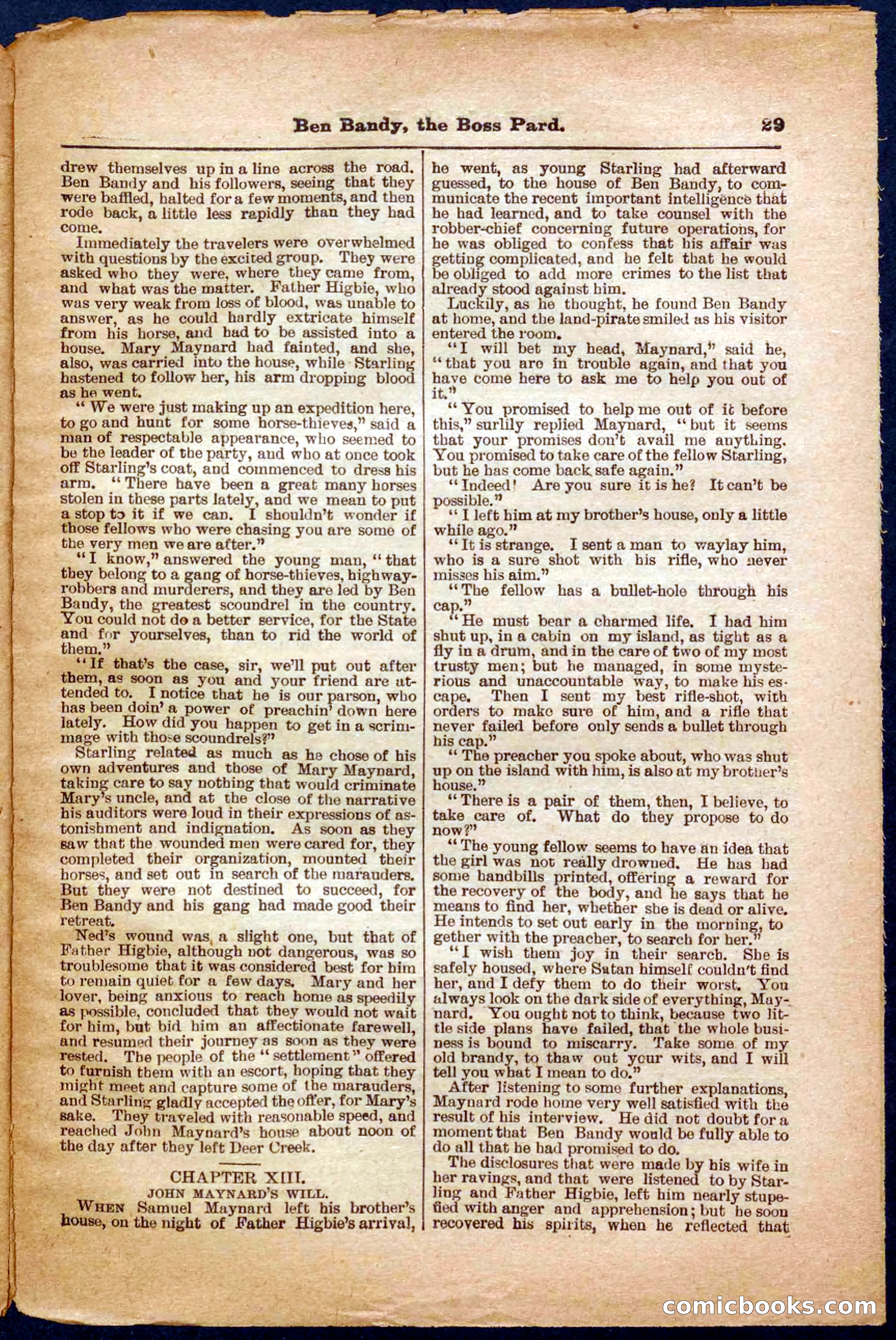 Beadle's Pocket Library No. 335 — page 29 of 32