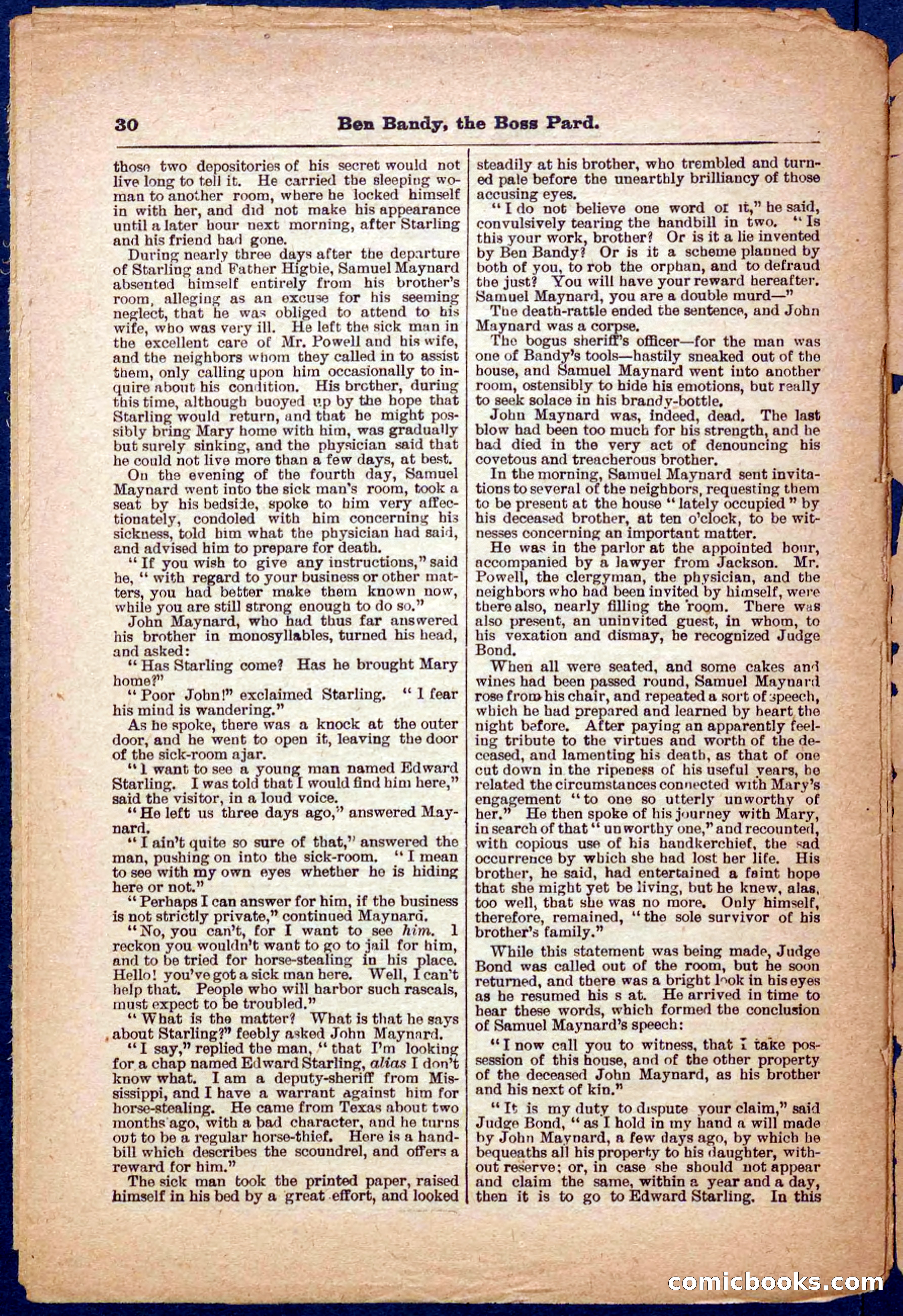 Beadle's Pocket Library No. 335 — page 30 of 32