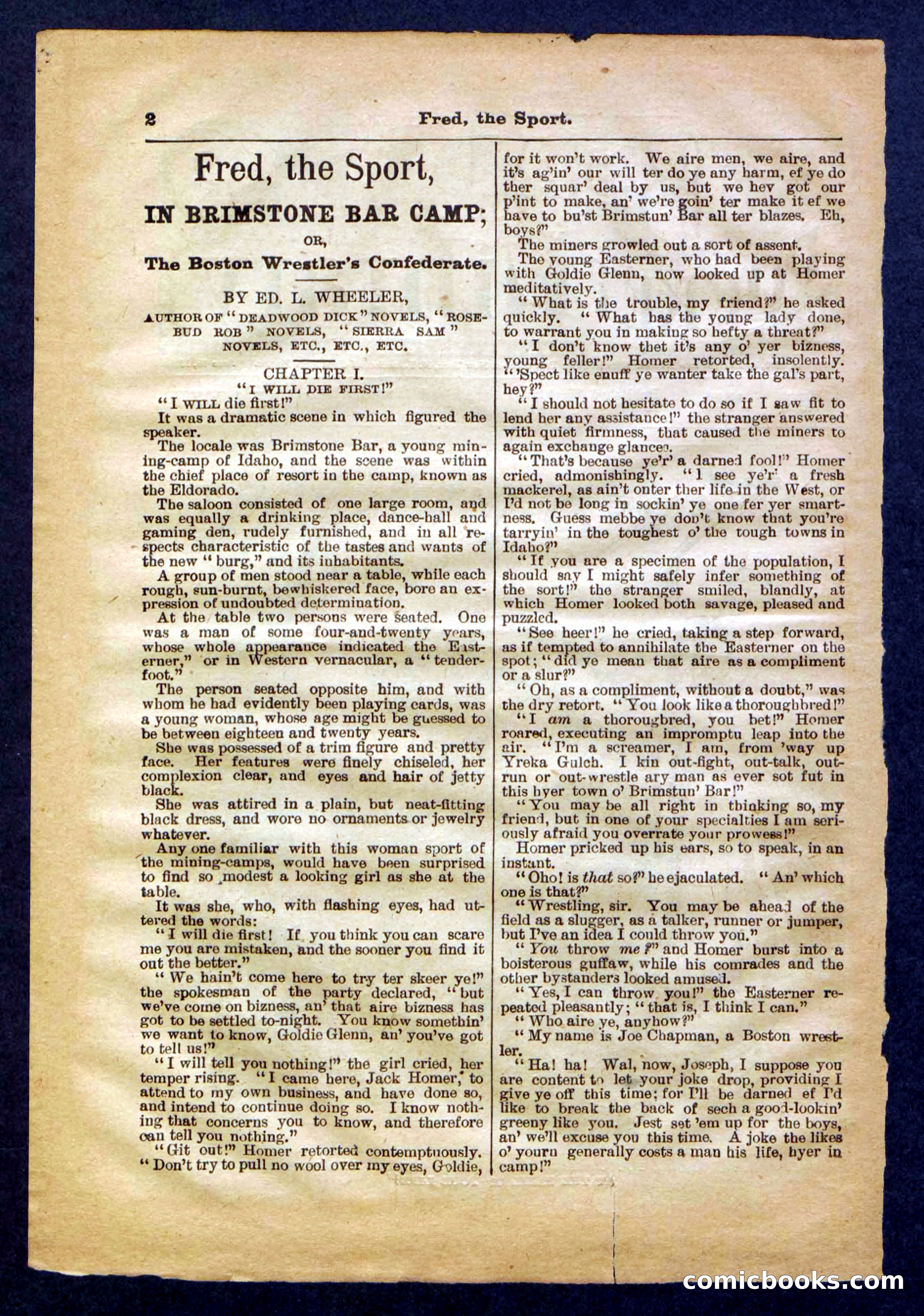 Beadle's Pocket Library No. 336 — page 2 of 32