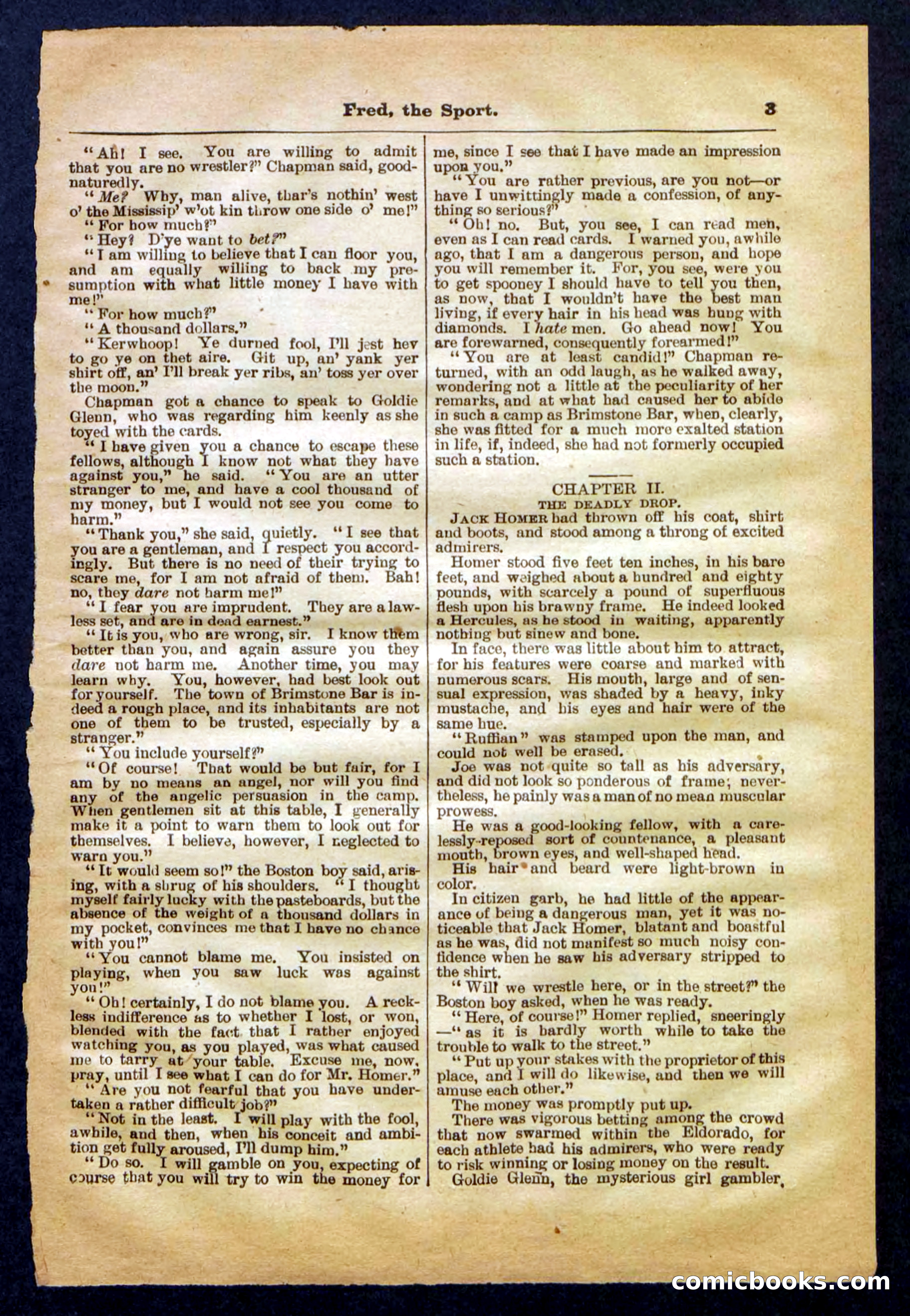 Beadle's Pocket Library No. 336 — page 3 of 32
