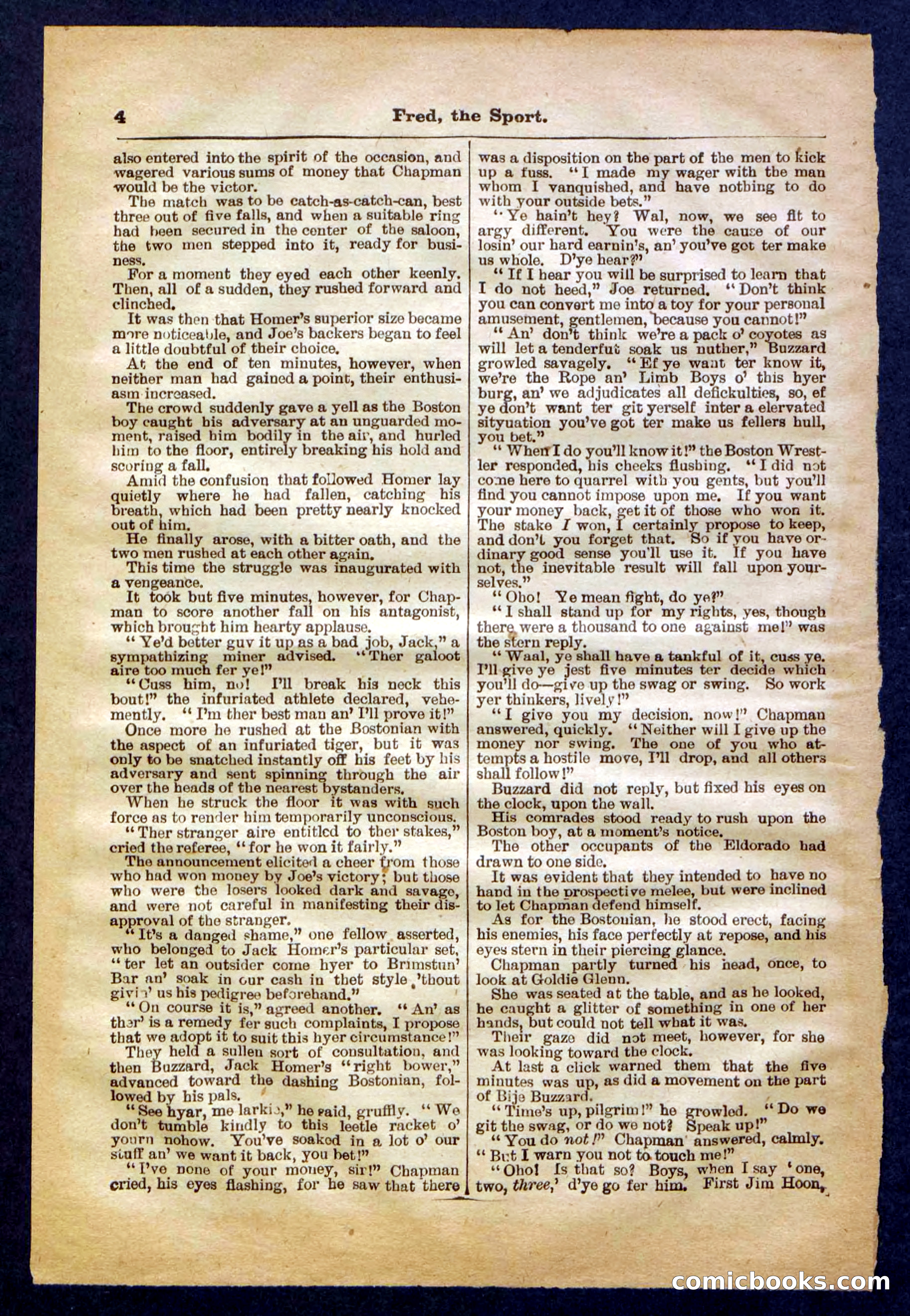 Beadle's Pocket Library No. 336 — page 4 of 32