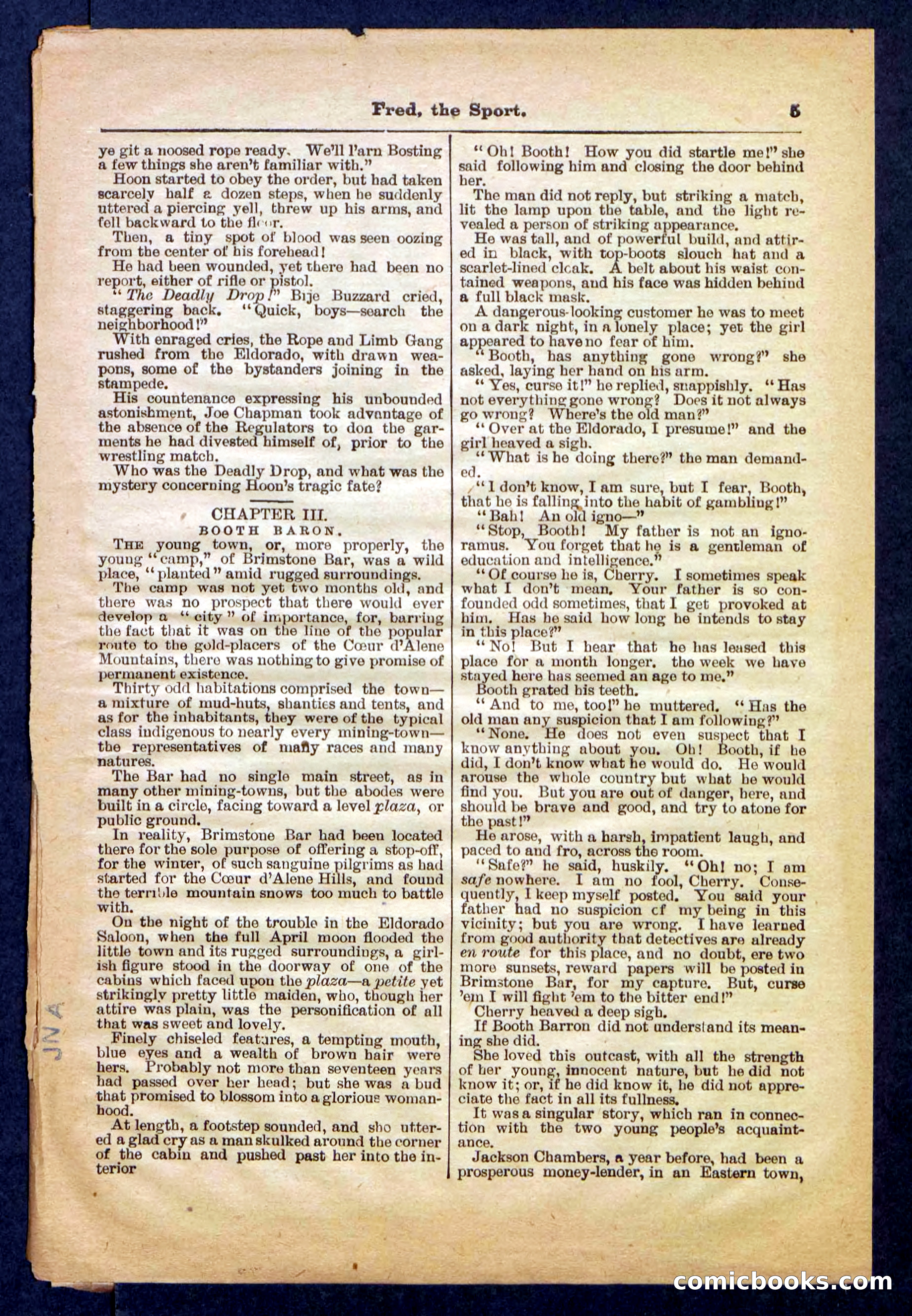 Beadle's Pocket Library No. 336 — page 5 of 32
