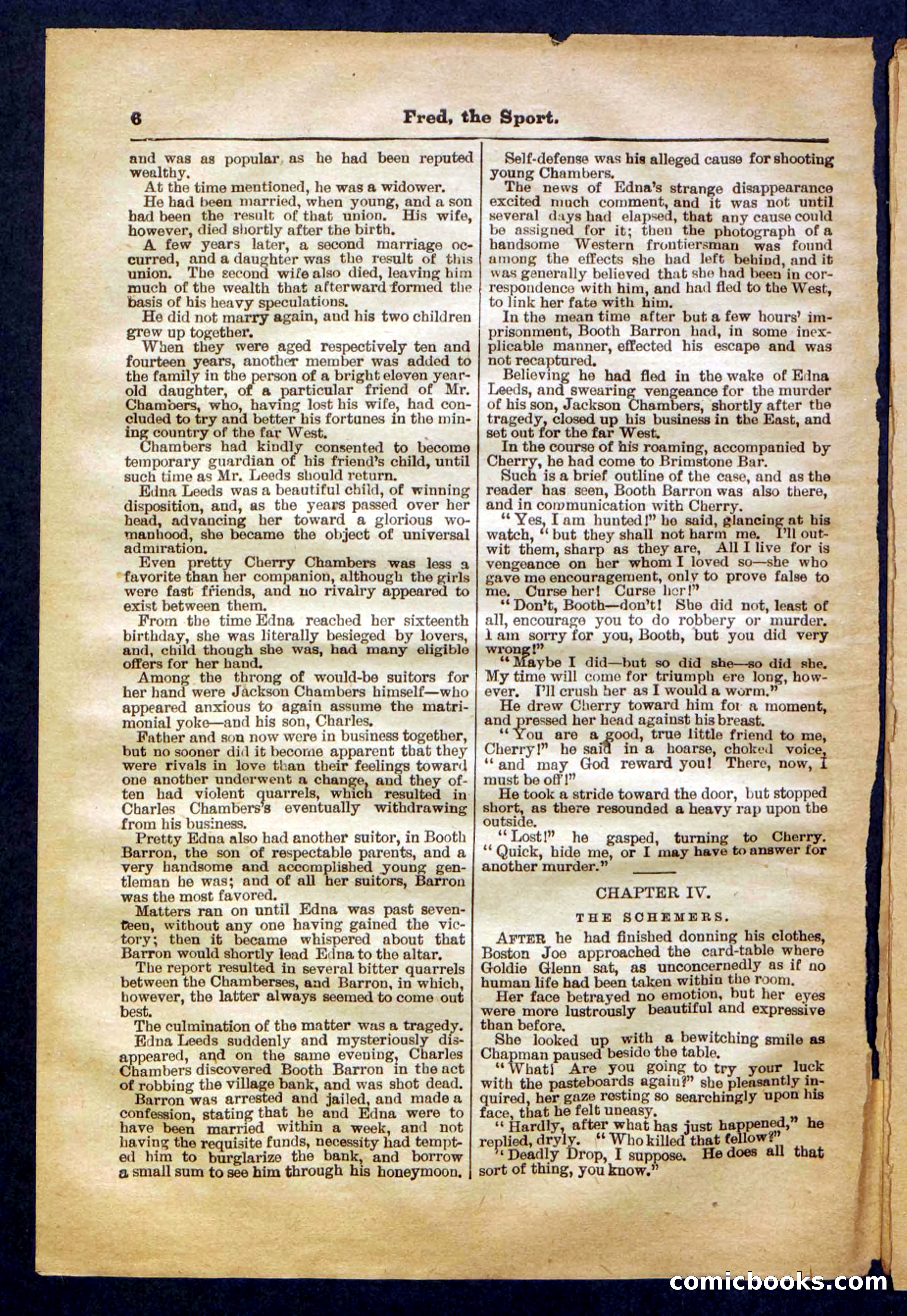 Beadle's Pocket Library No. 336 — page 6 of 32