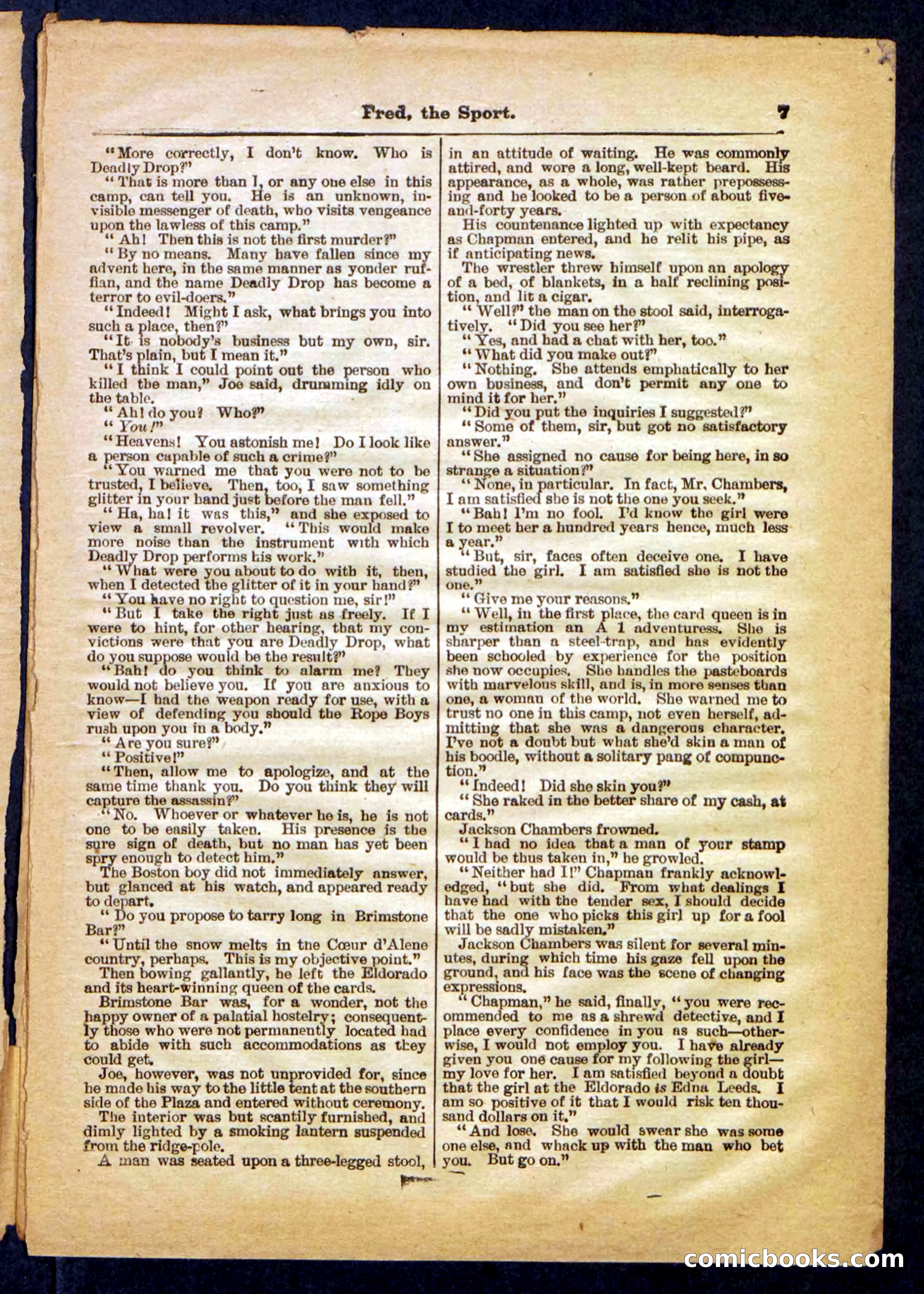 Beadle's Pocket Library No. 336 — page 7 of 32