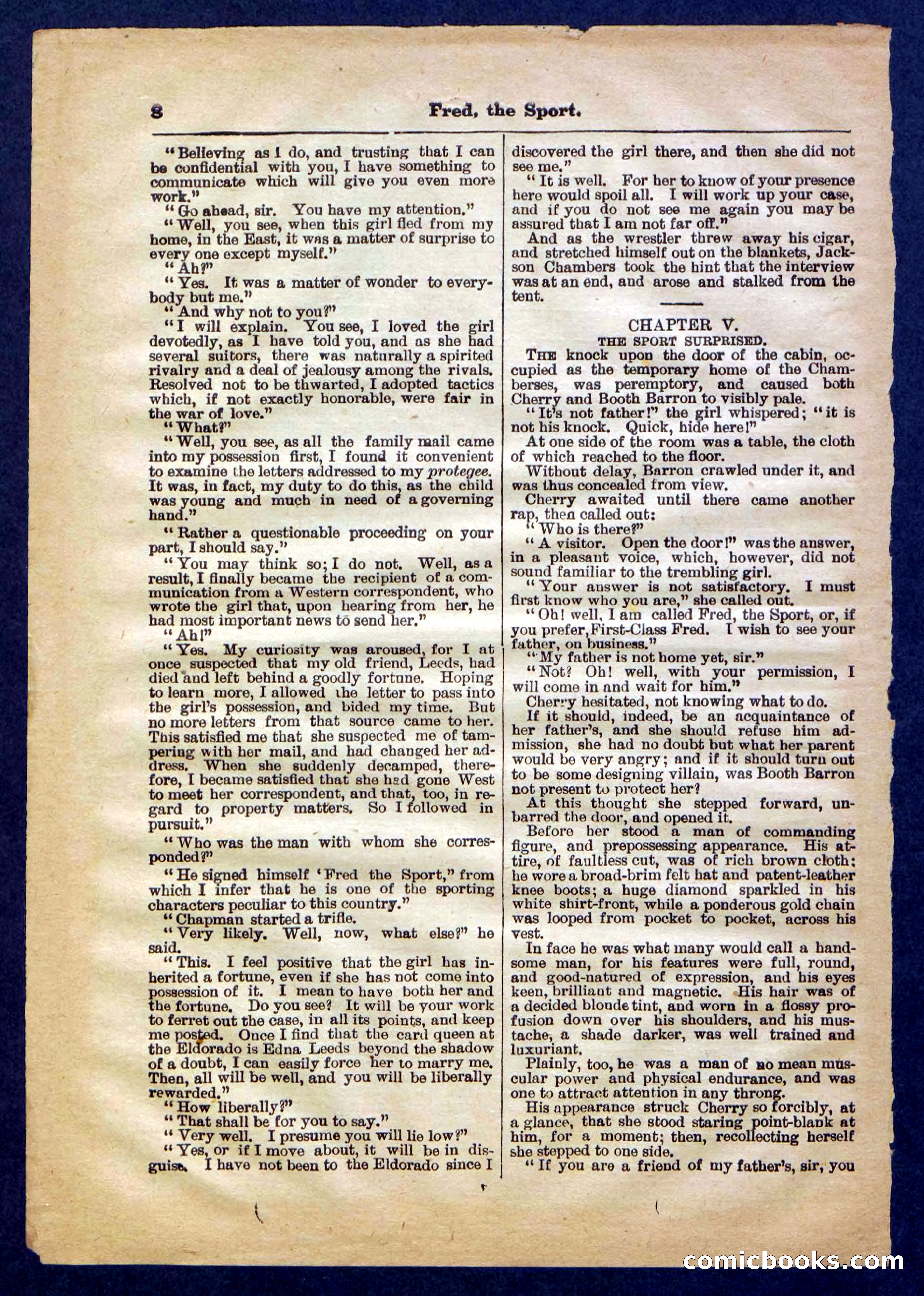 Beadle's Pocket Library No. 336 — page 8 of 32