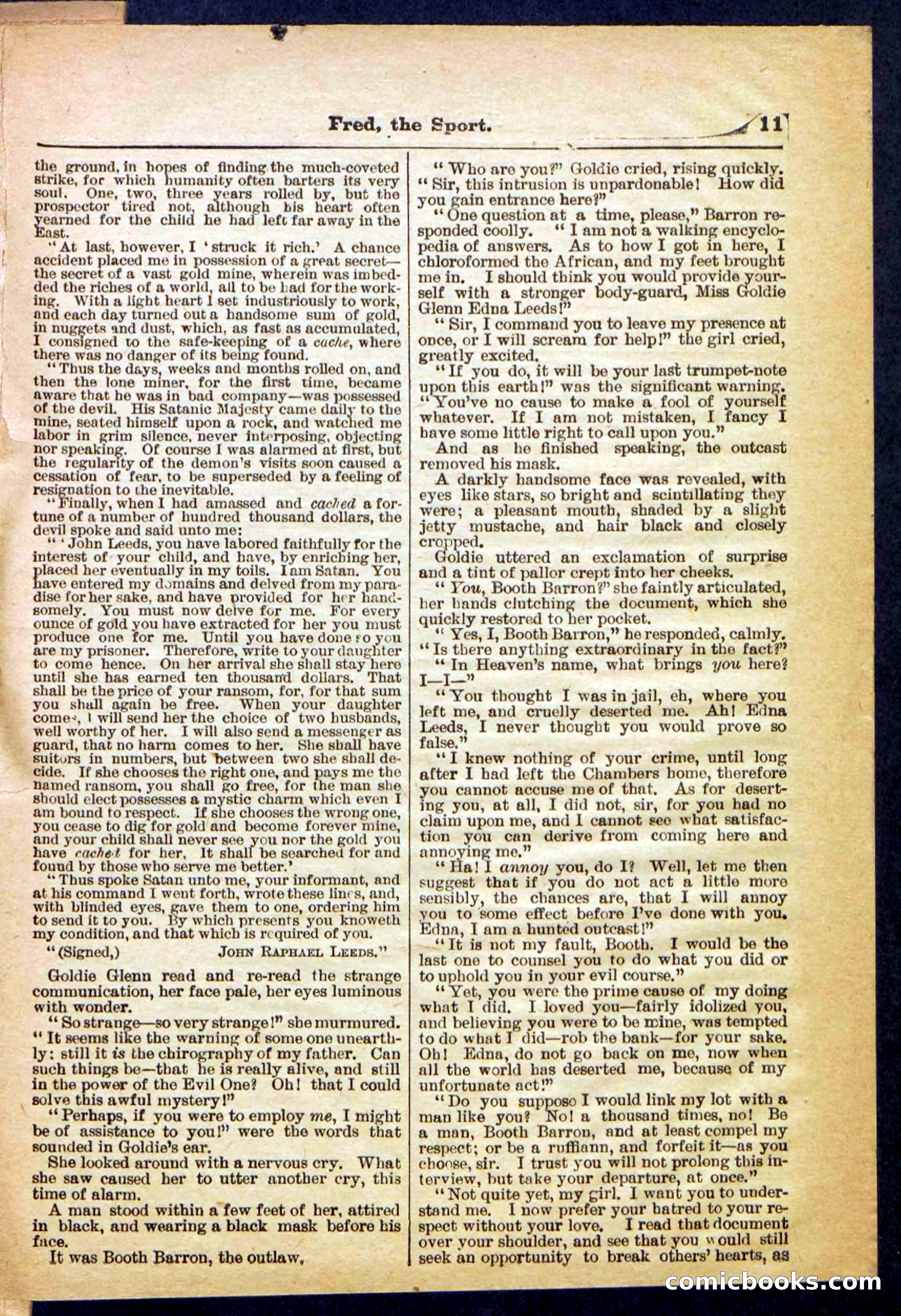 Beadle's Pocket Library No. 336 — page 11 of 32
