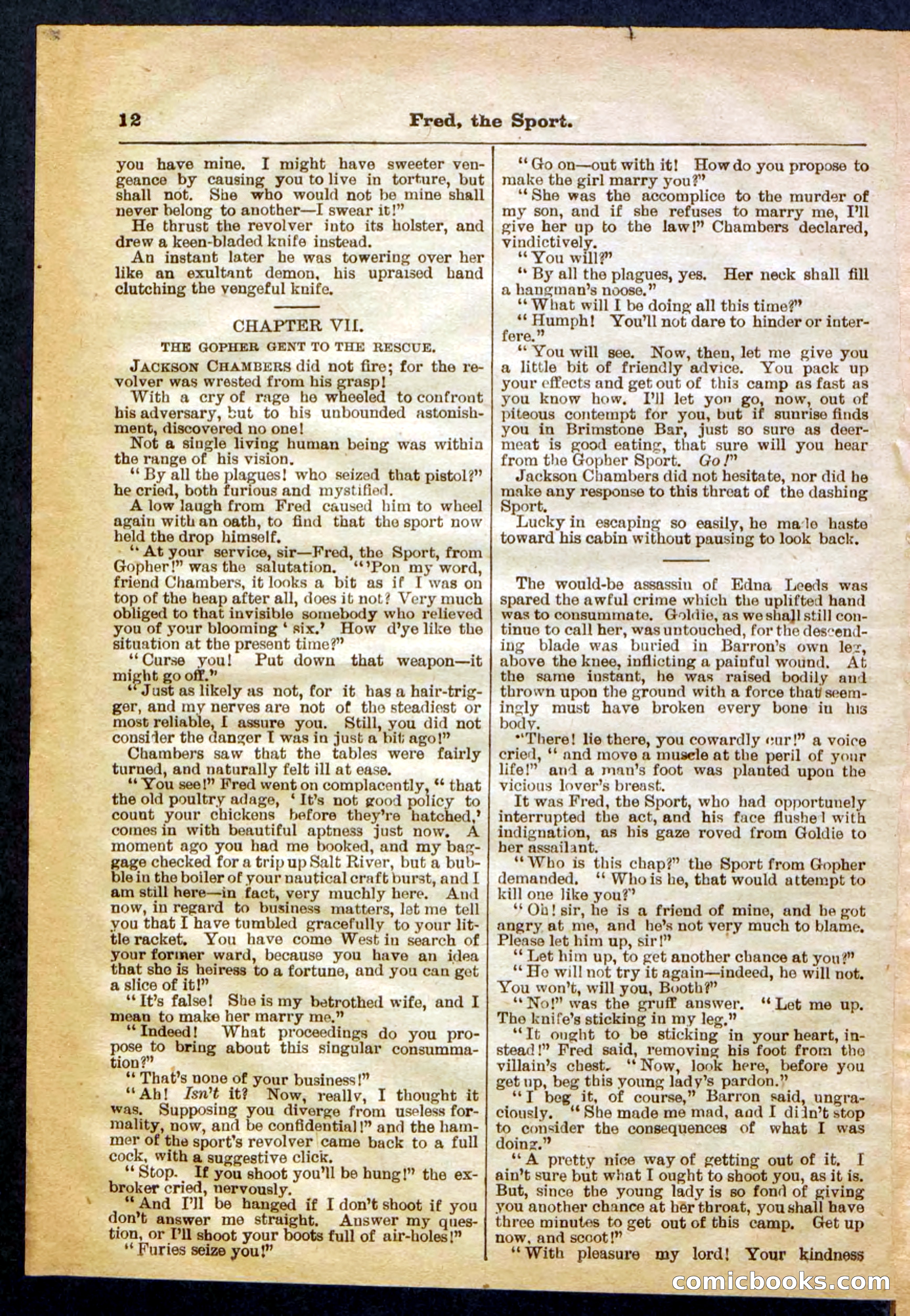 Beadle's Pocket Library No. 336 — page 12 of 32