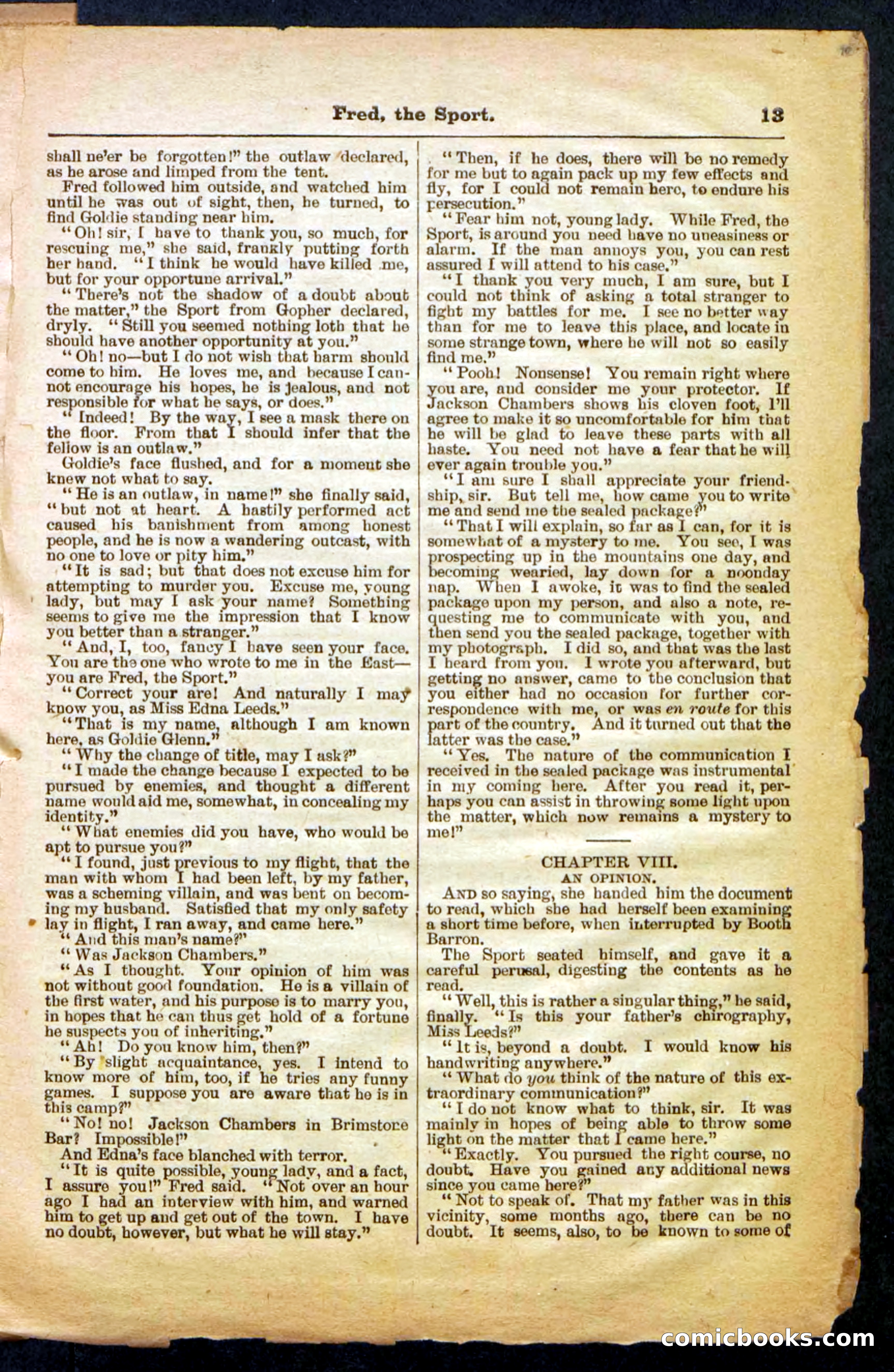 Beadle's Pocket Library No. 336 — page 13 of 32
