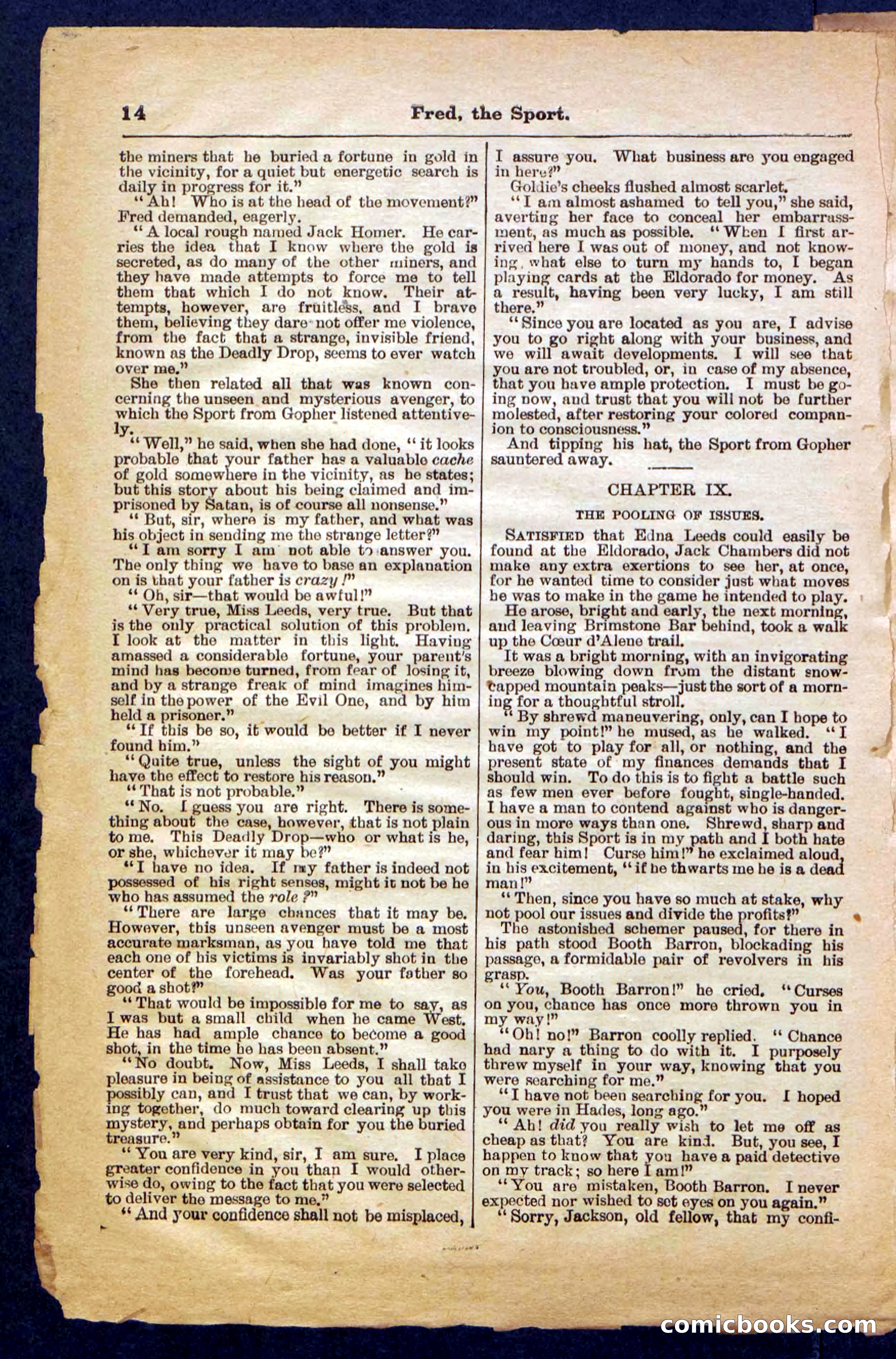 Beadle's Pocket Library No. 336 — page 14 of 32