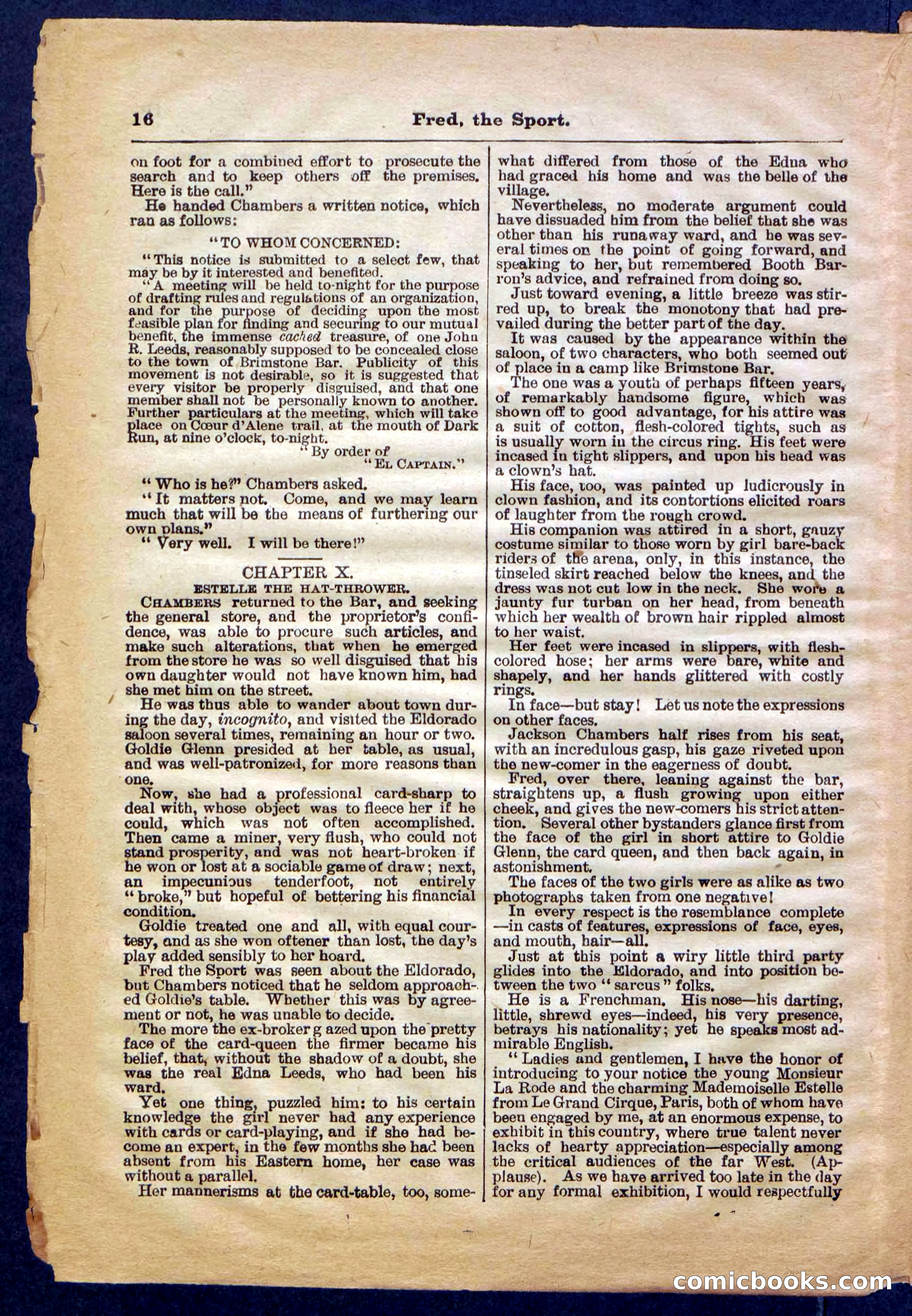 Beadle's Pocket Library No. 336 — page 16 of 32