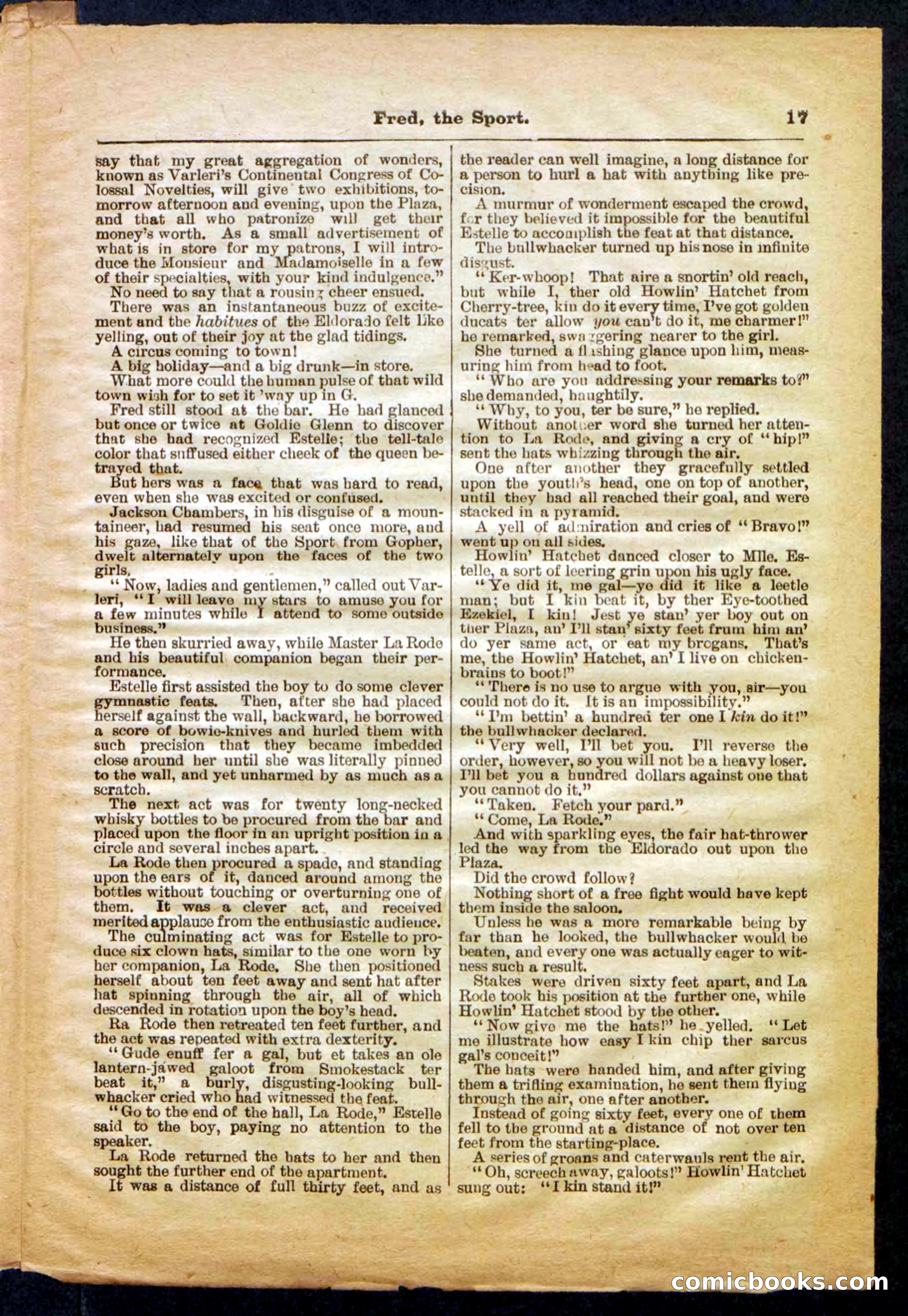 Beadle's Pocket Library No. 336 — page 17 of 32