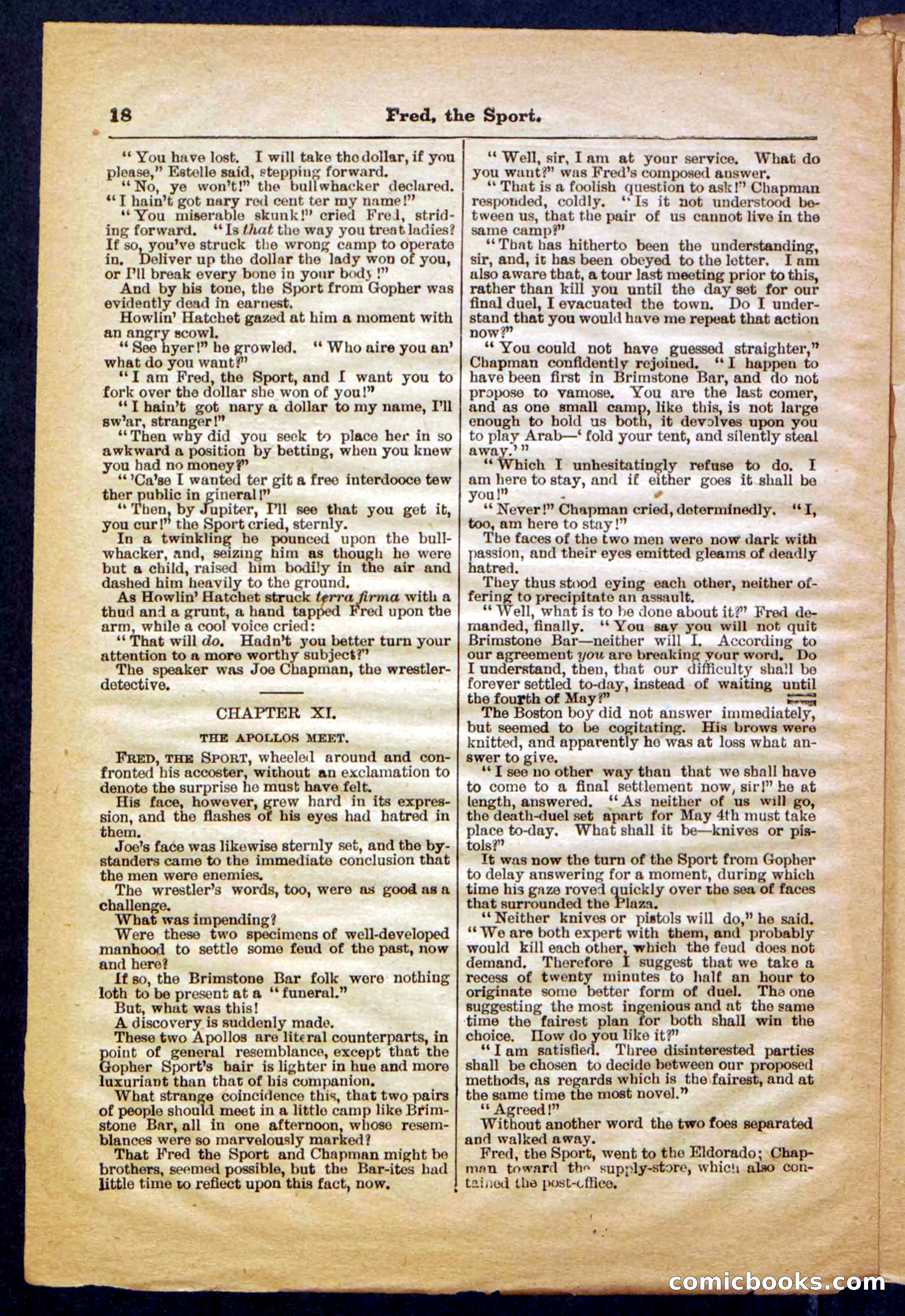 Beadle's Pocket Library No. 336 — page 18 of 32
