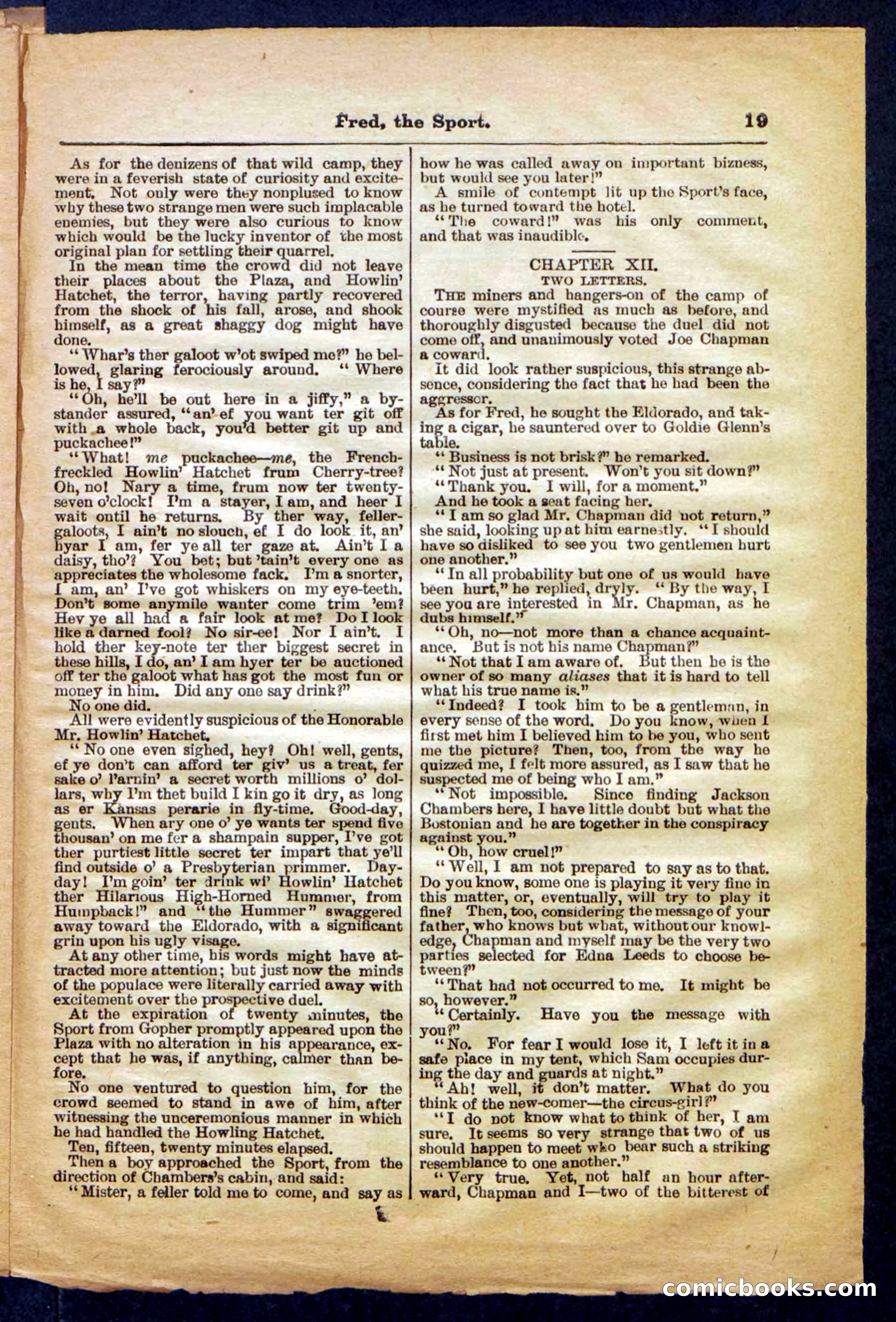 Beadle's Pocket Library No. 336 — page 19 of 32