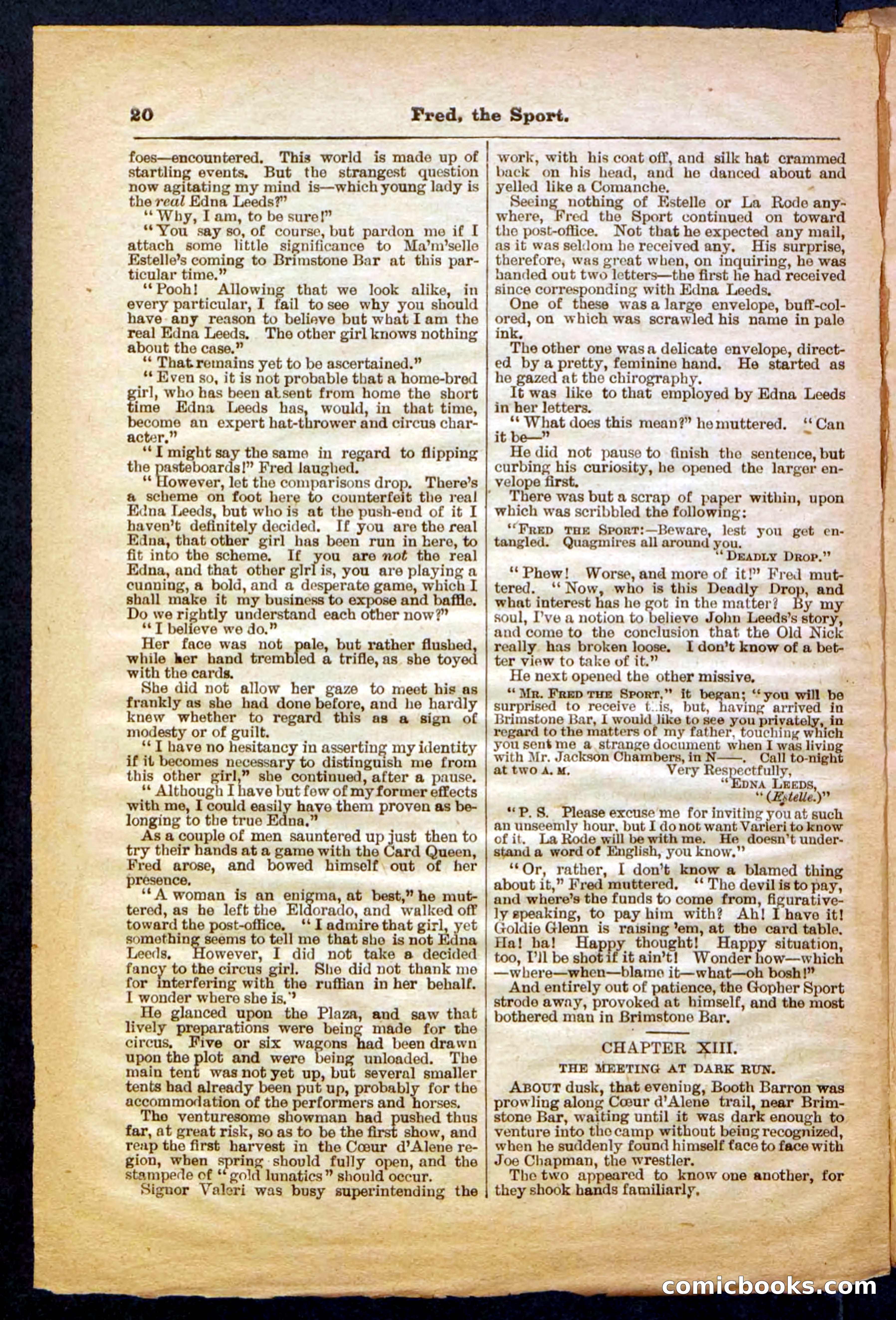 Beadle's Pocket Library No. 336 — page 20 of 32