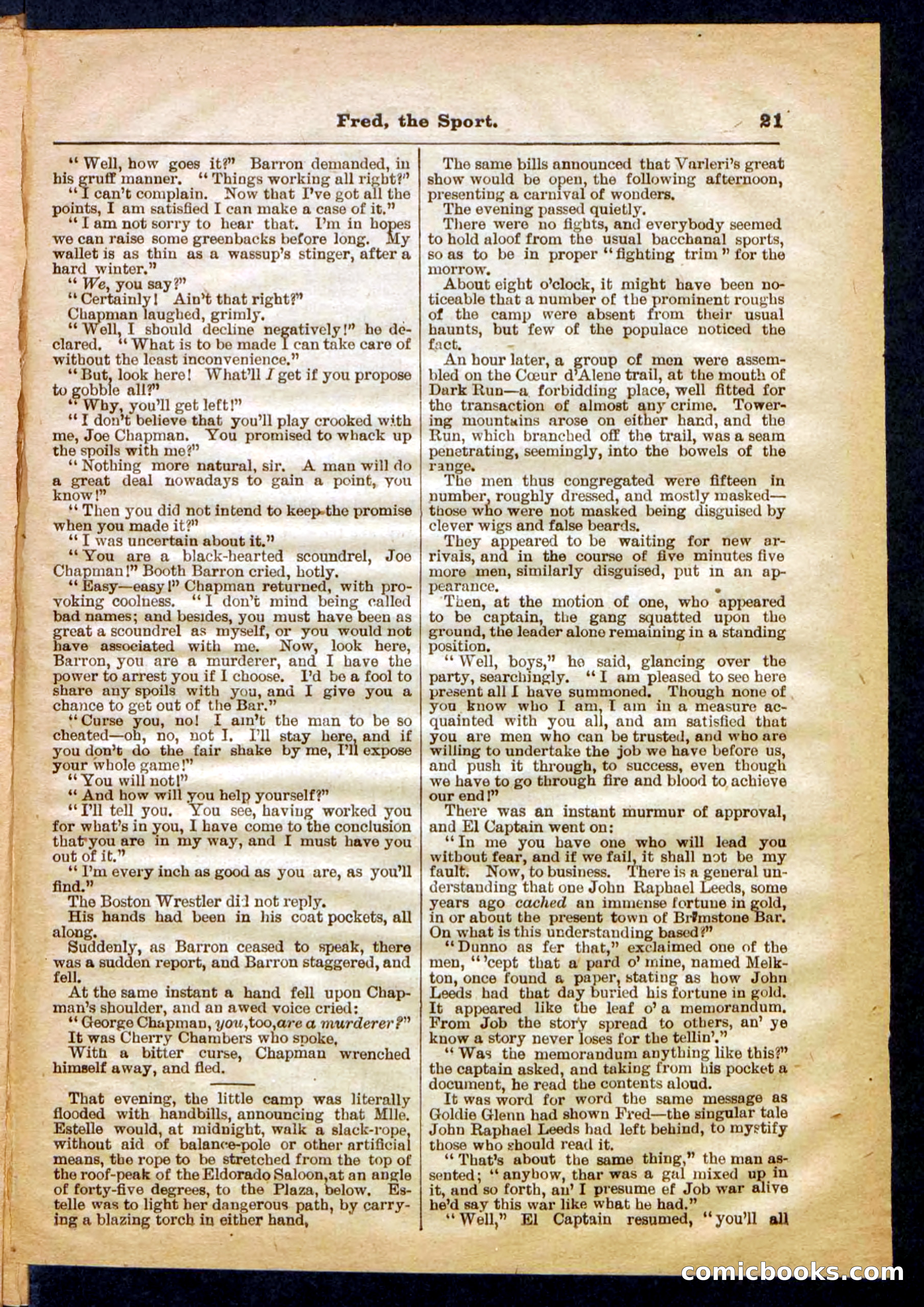 Beadle's Pocket Library No. 336 — page 21 of 32