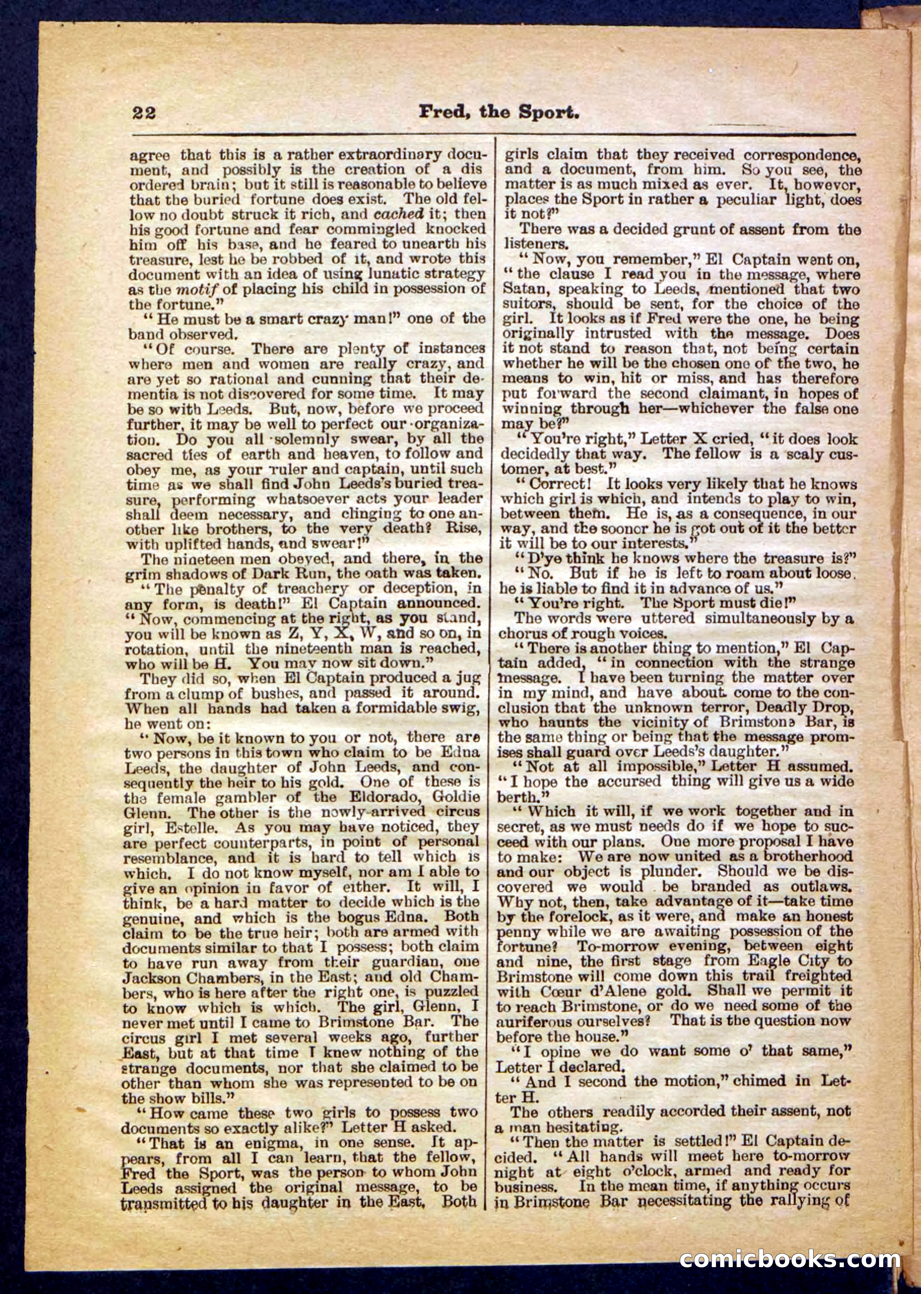 Beadle's Pocket Library No. 336 — page 22 of 32