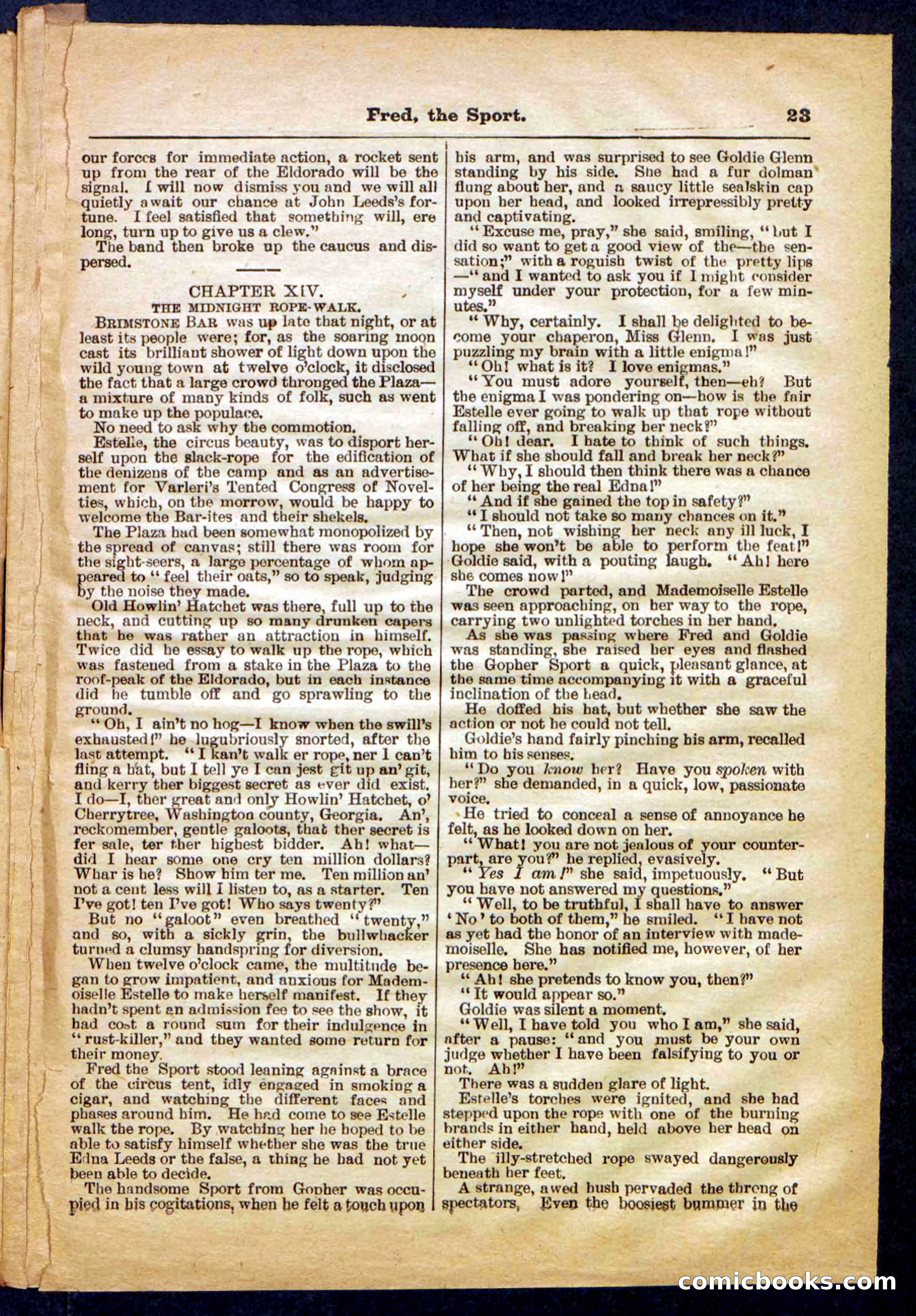 Beadle's Pocket Library No. 336 — page 23 of 32