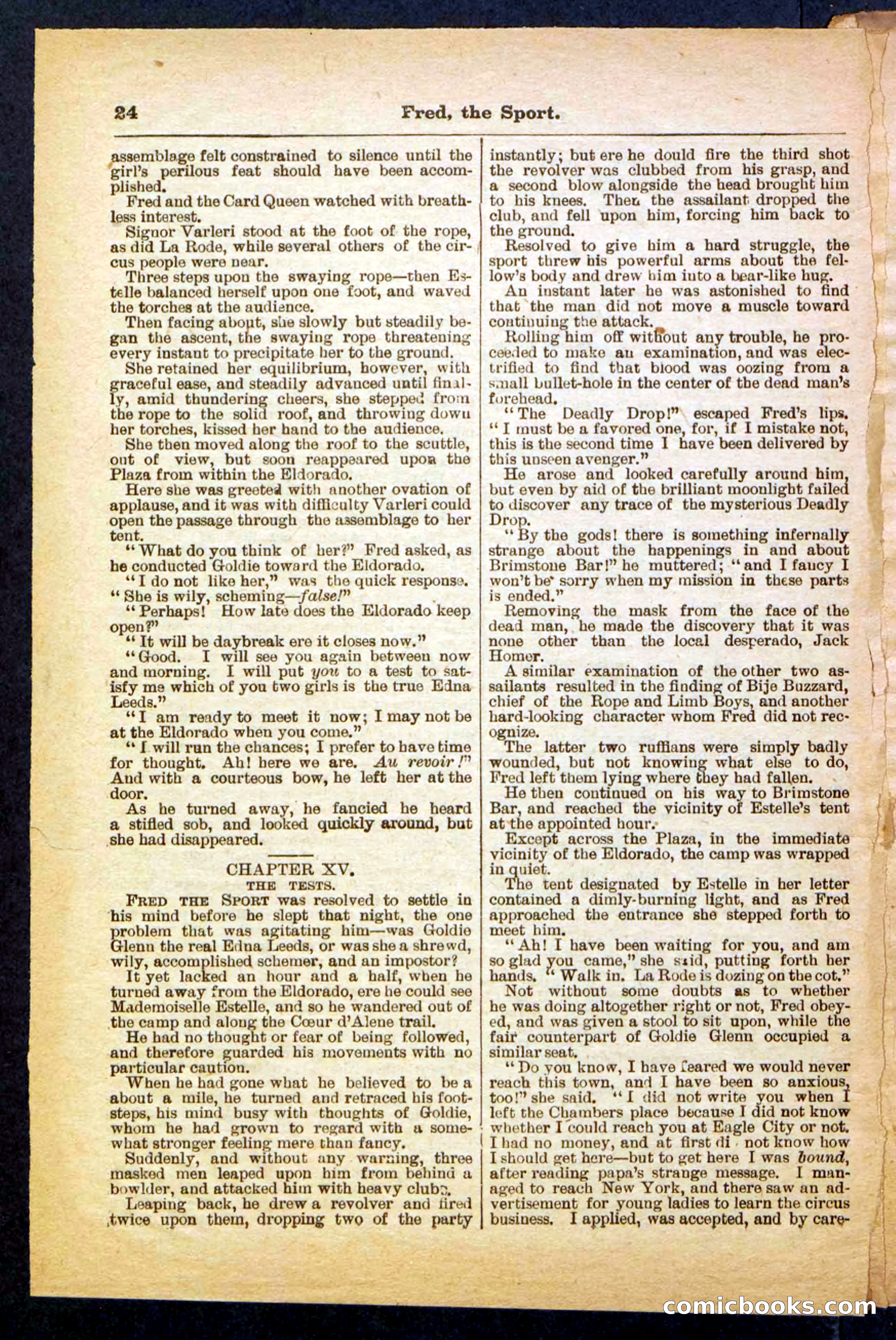 Beadle's Pocket Library No. 336 — page 24 of 32